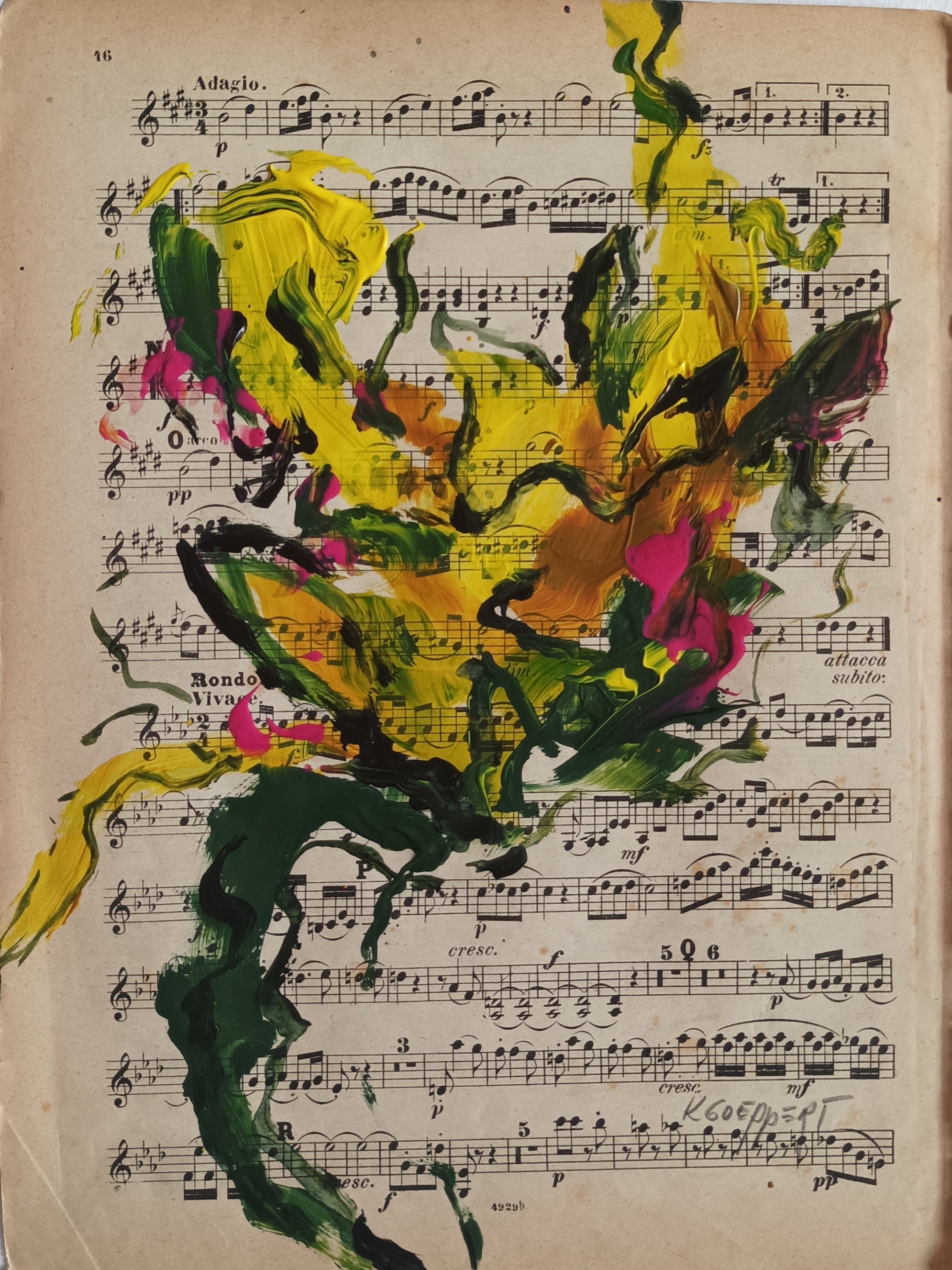 Haydn Suite II