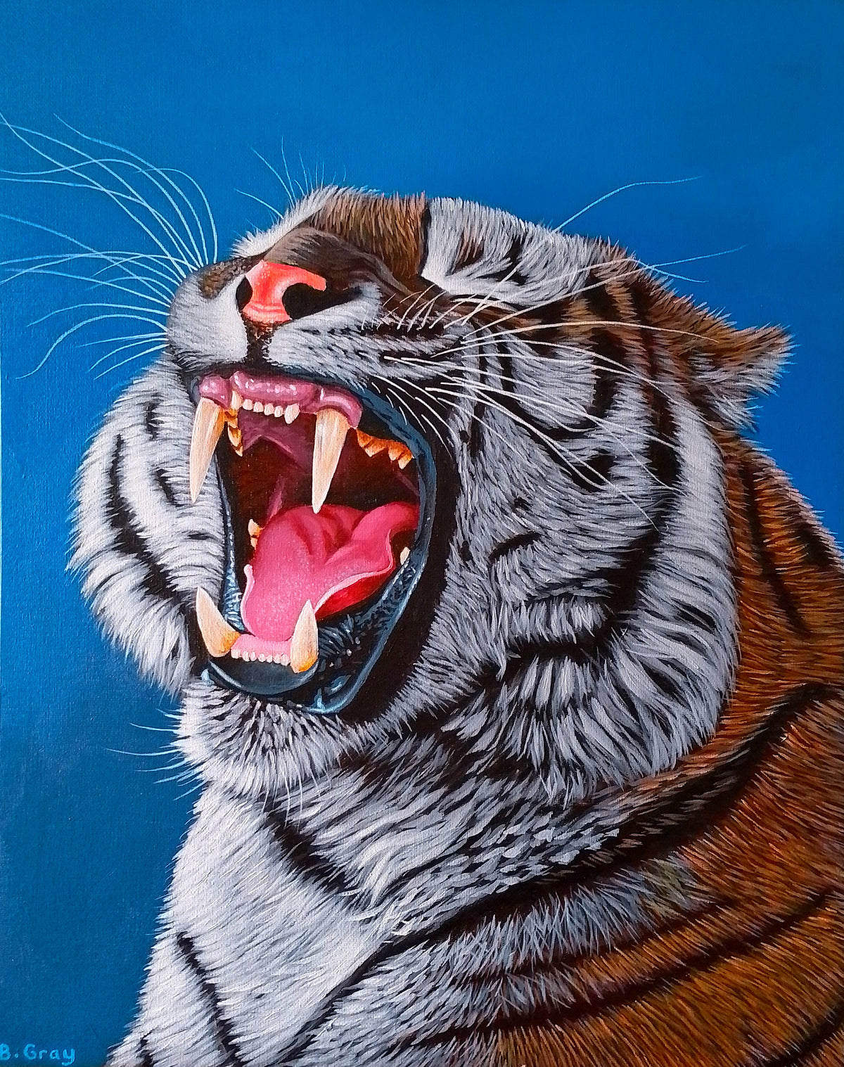 Tiger