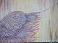 the wing