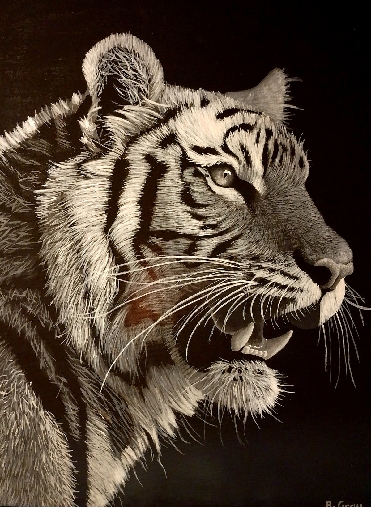 Tiger in black and white