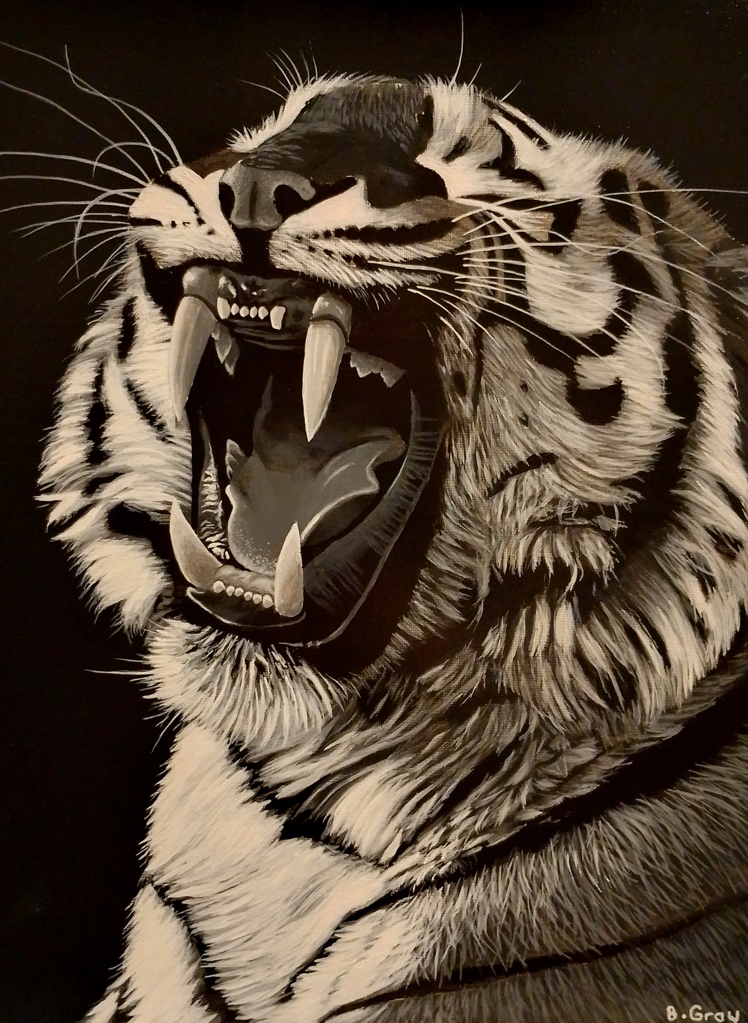 Tiger in black and white 3