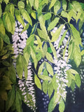 White wisteria watercolour painting
