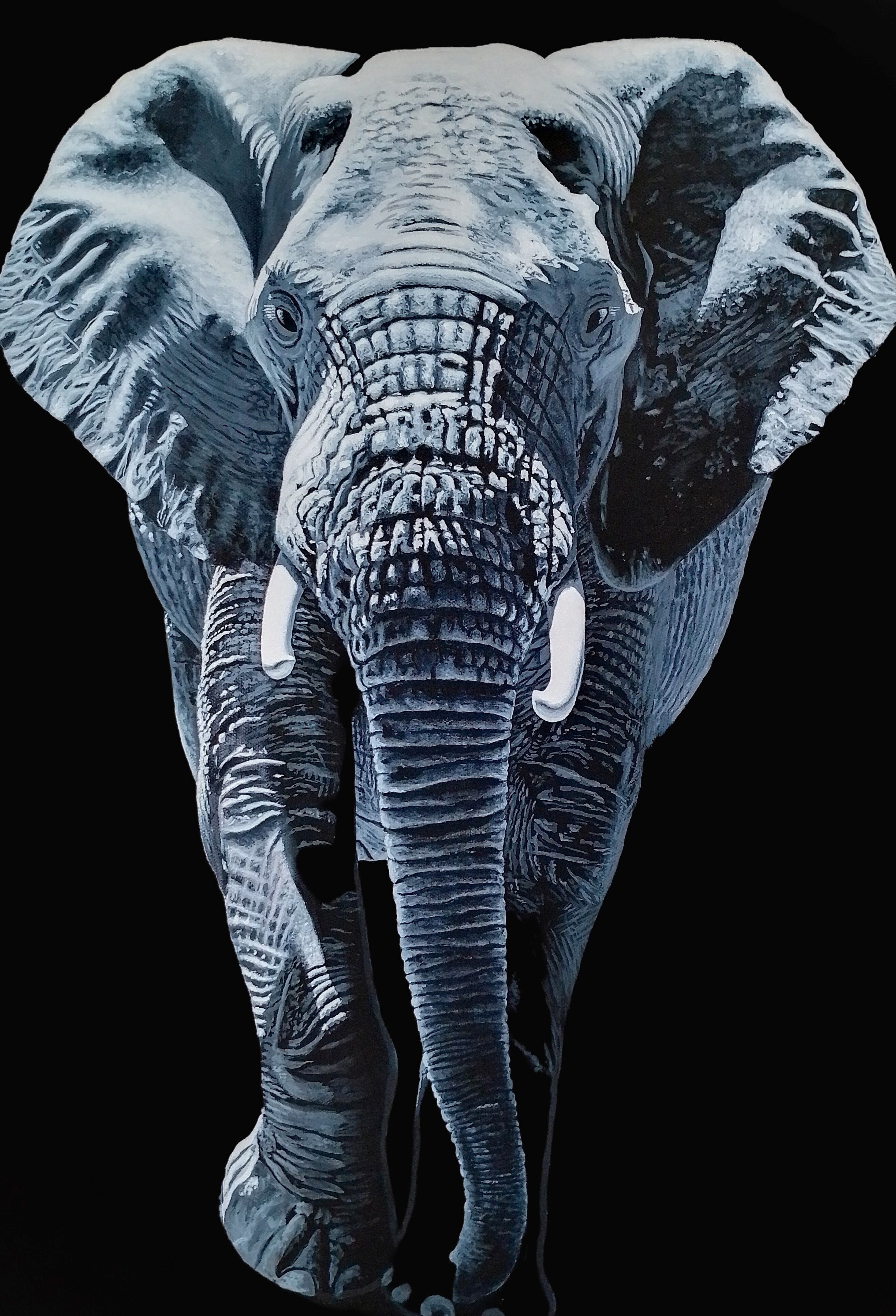 Elephant print 29cm x 42cm
