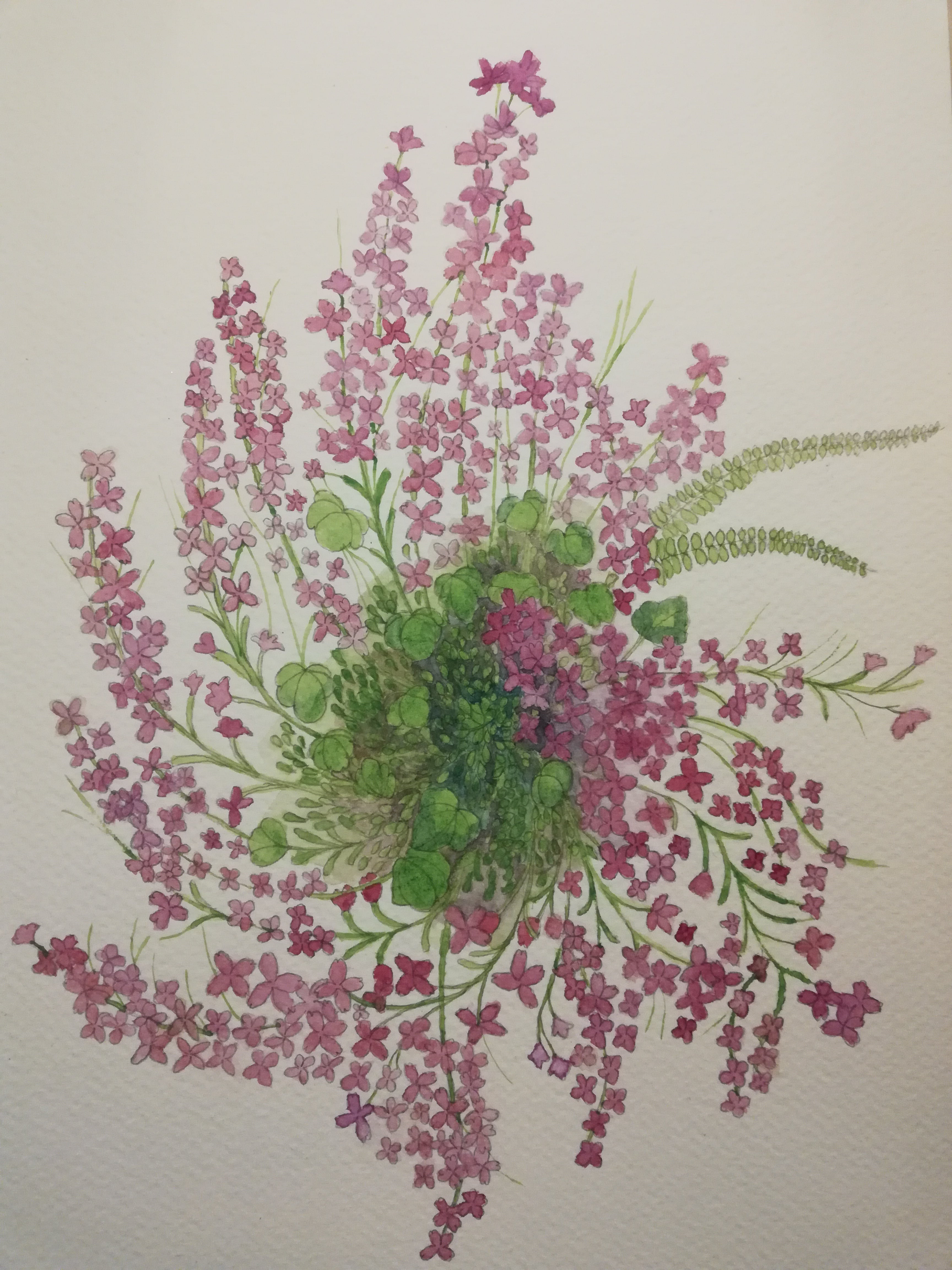 Pink flower wall formation watercolour