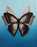 Wings of Freedom