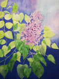 Watercolour lilac blossom