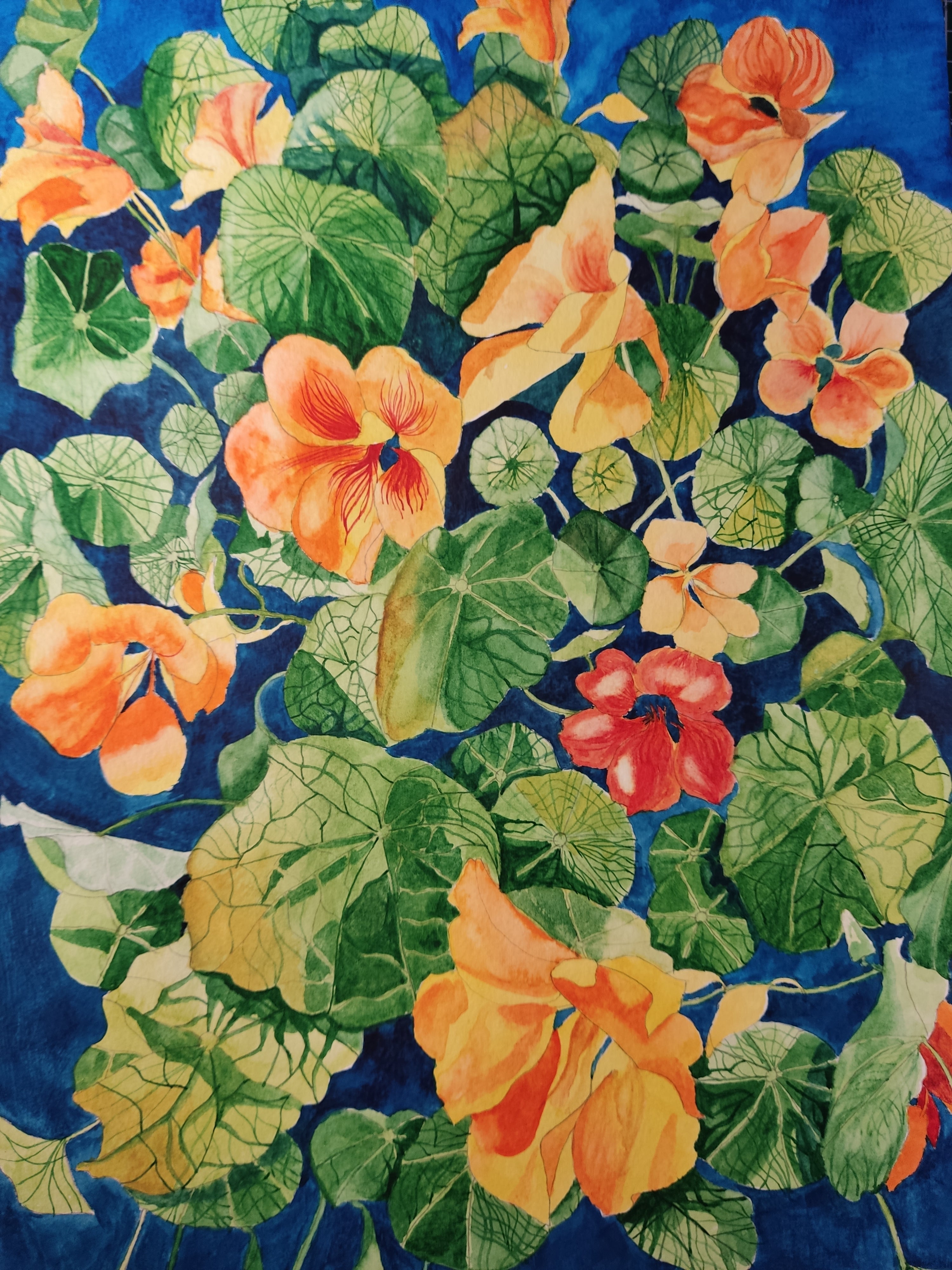 Nasturtium watercolour painting