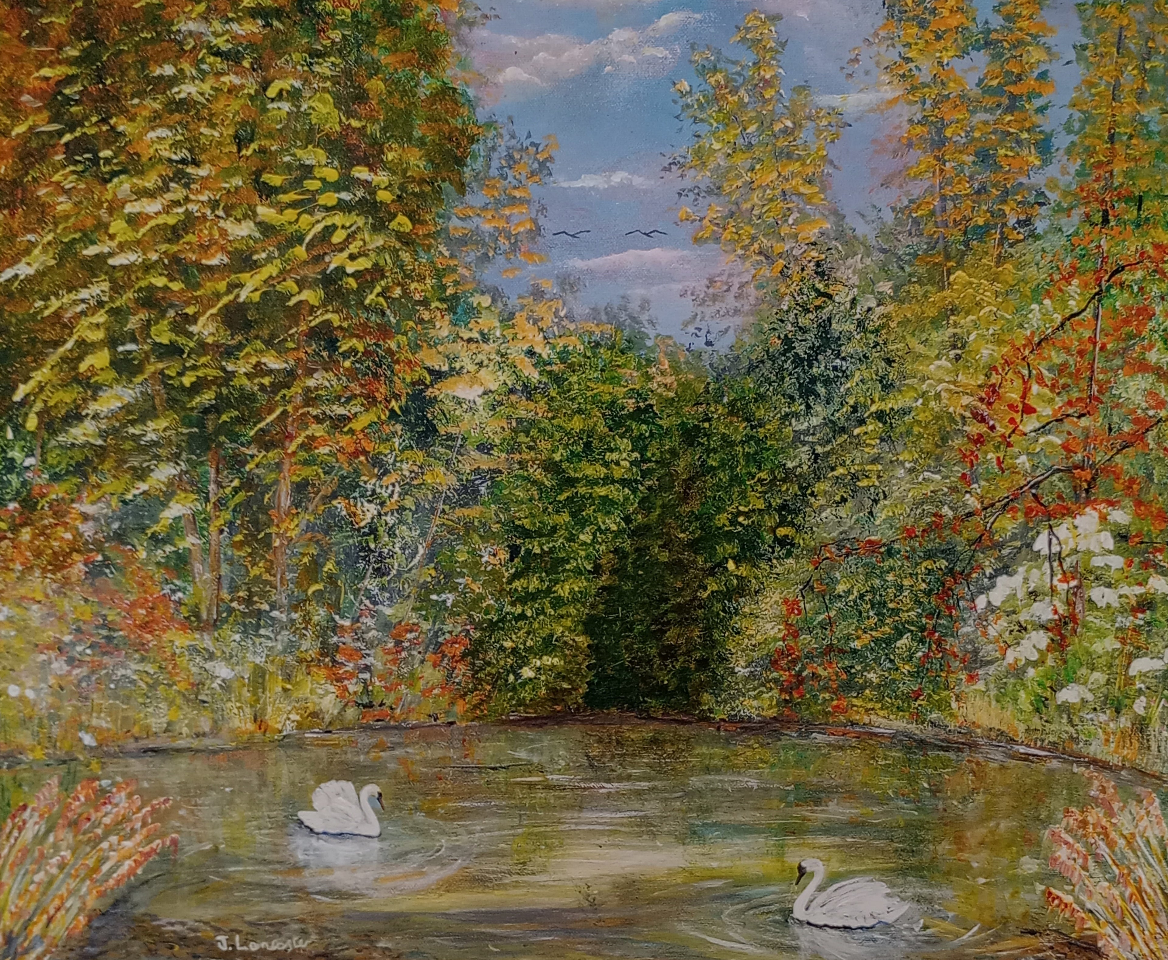 Swans on a serene forest lake