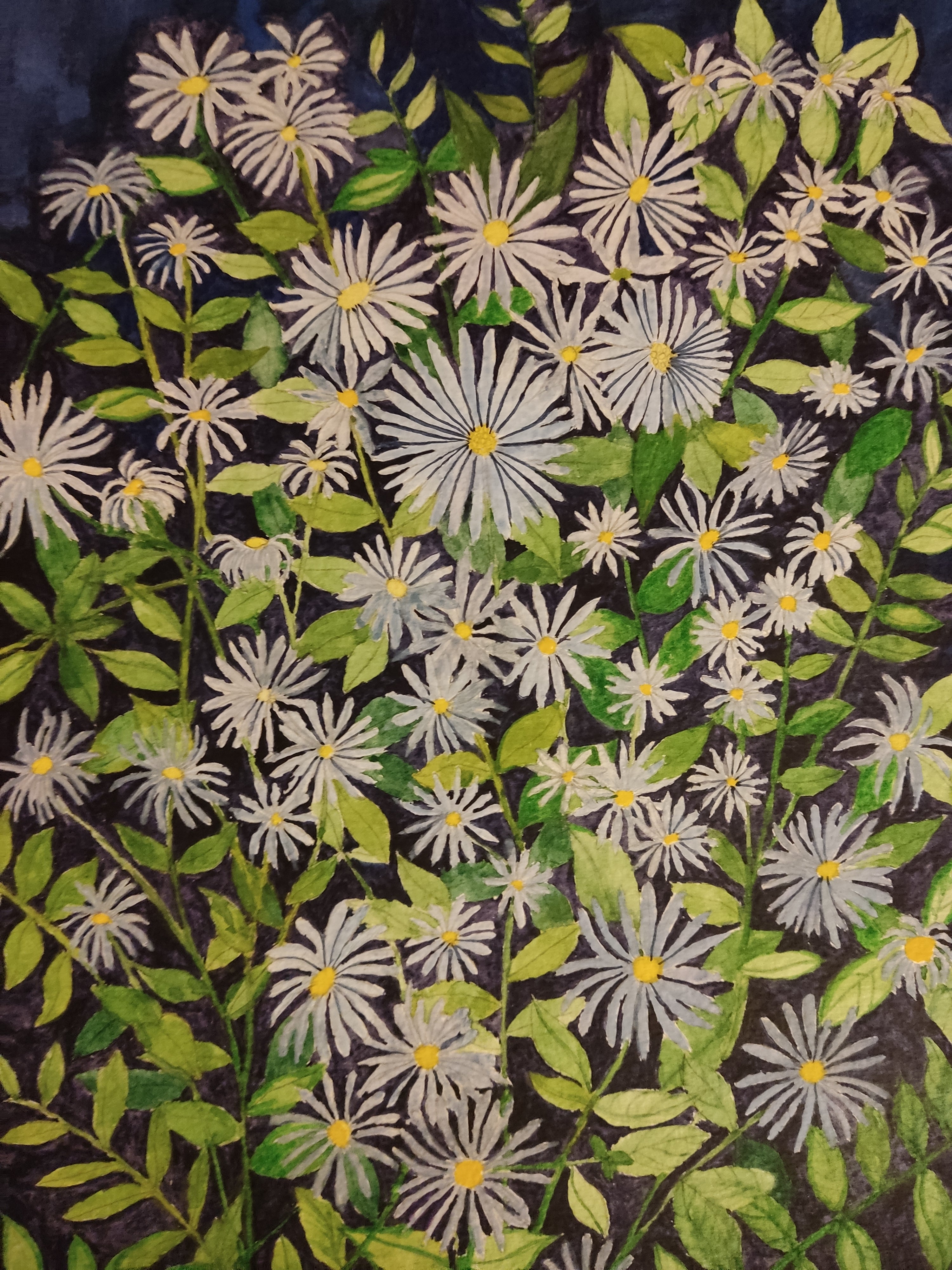 Purple Daisies watercolour painting