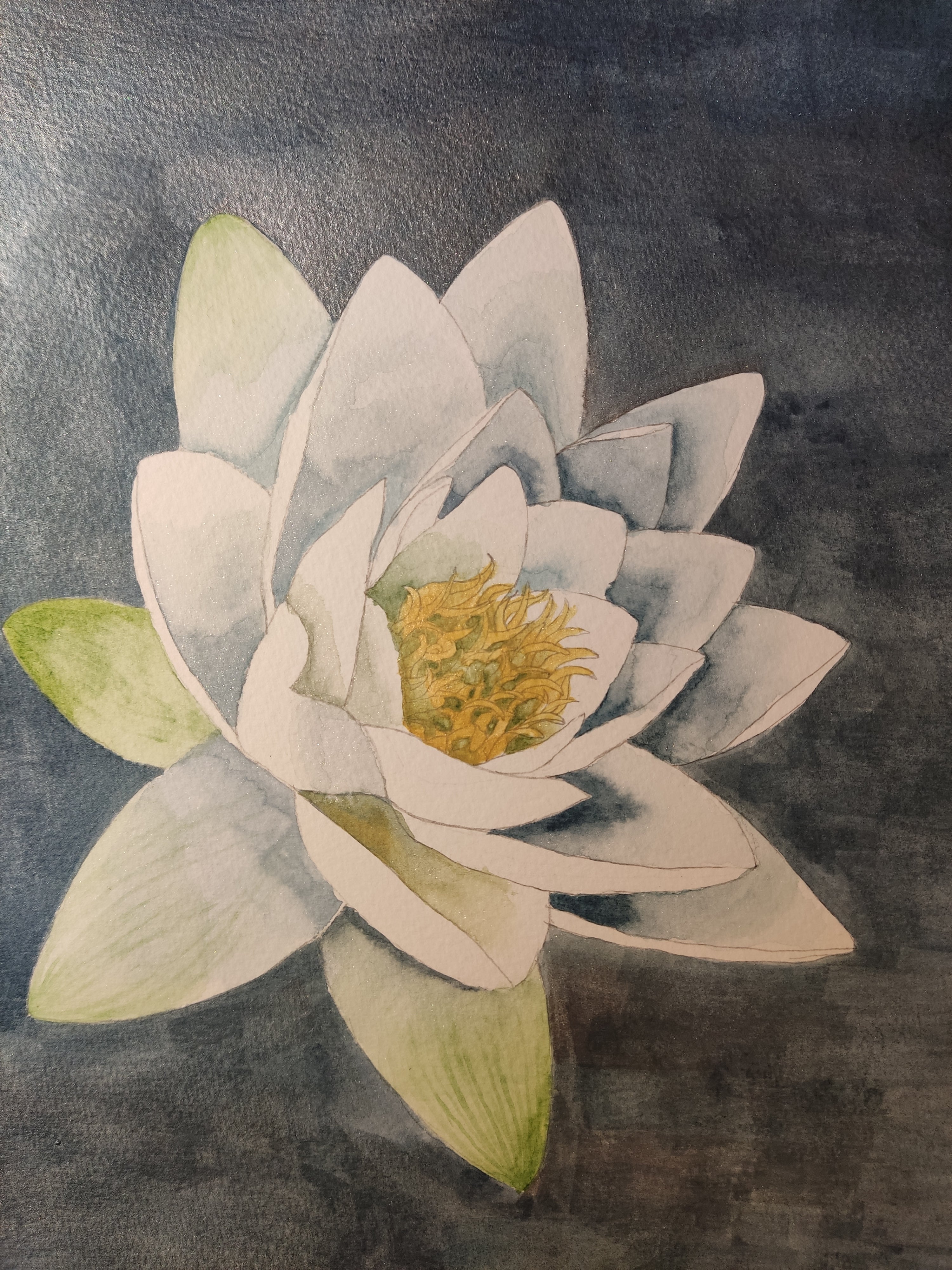Single white waterlily watercolour