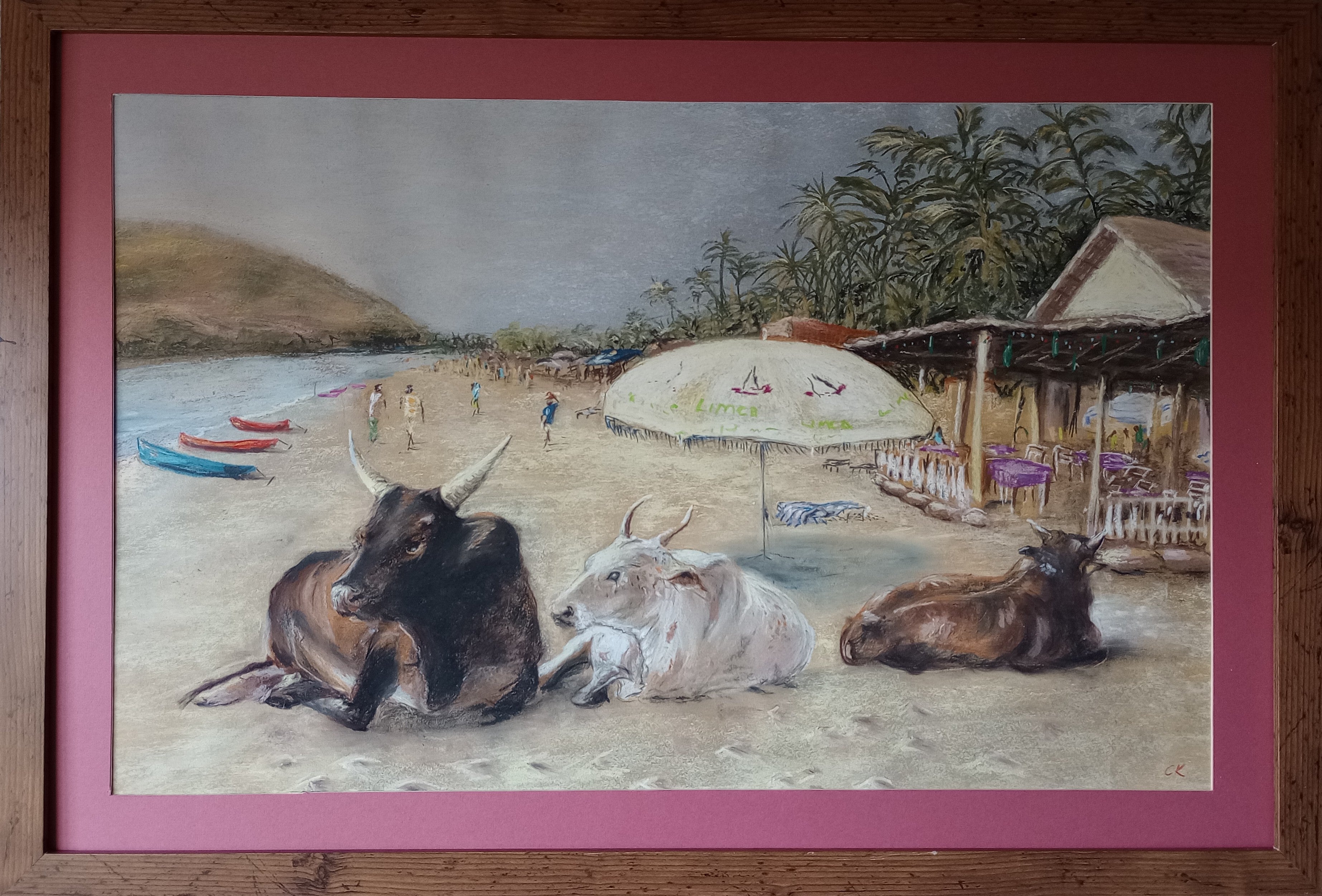 Cows on Palolem