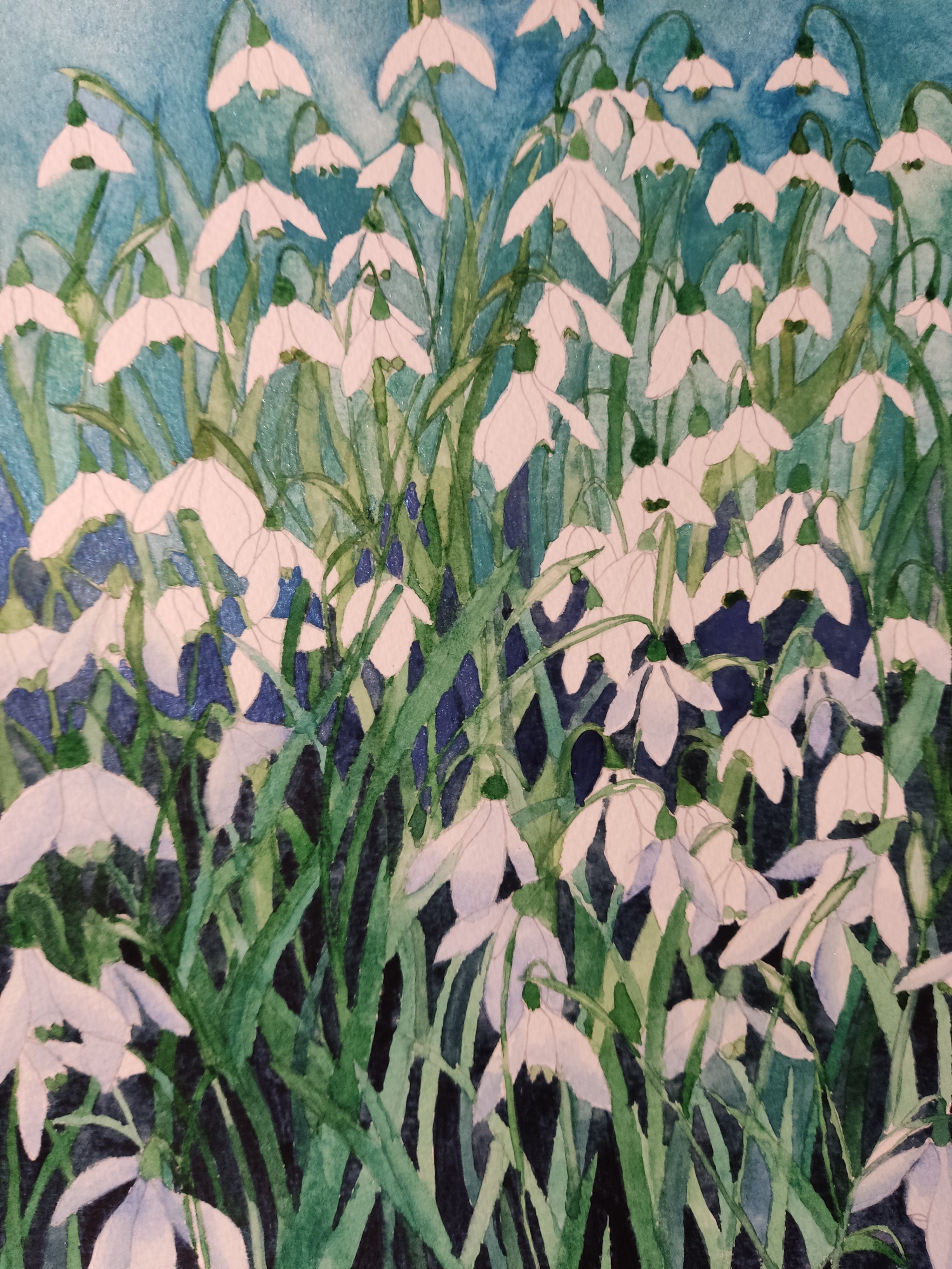 Shimmering Snowdrops