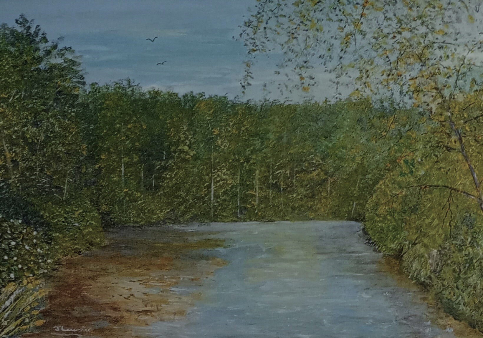 Tranquil Riverbank