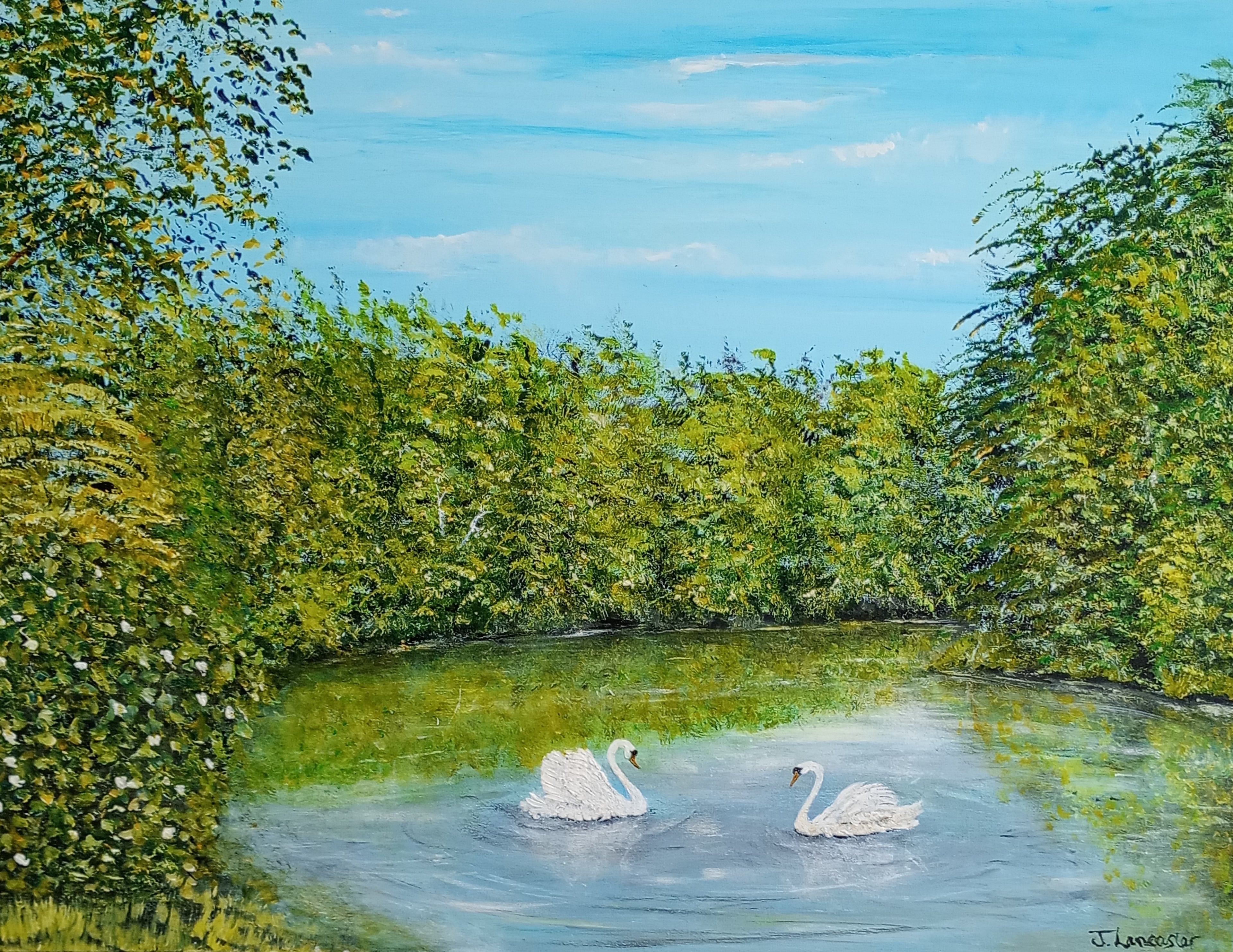 Tranquil Waters