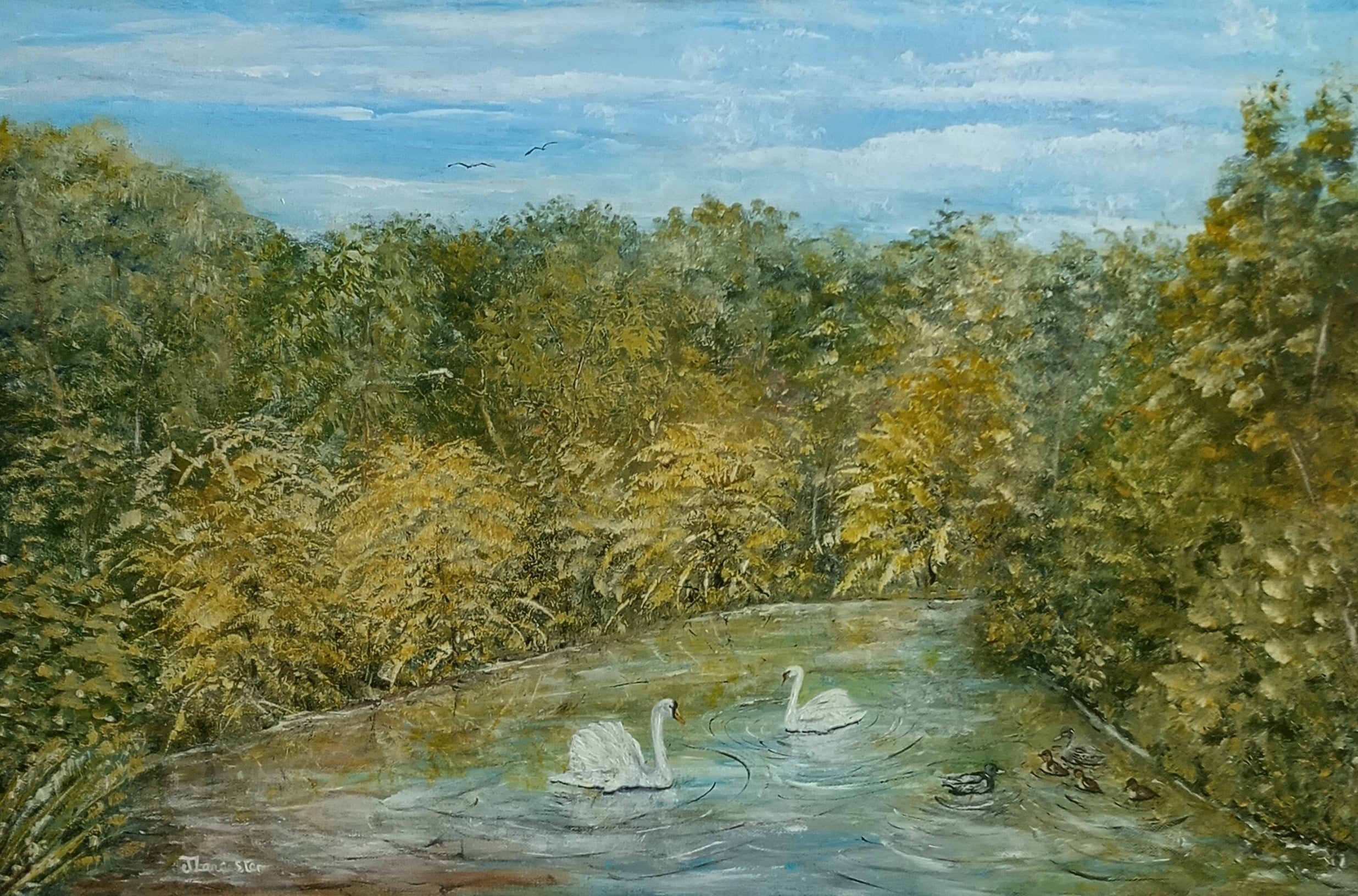 Swans on the Lake