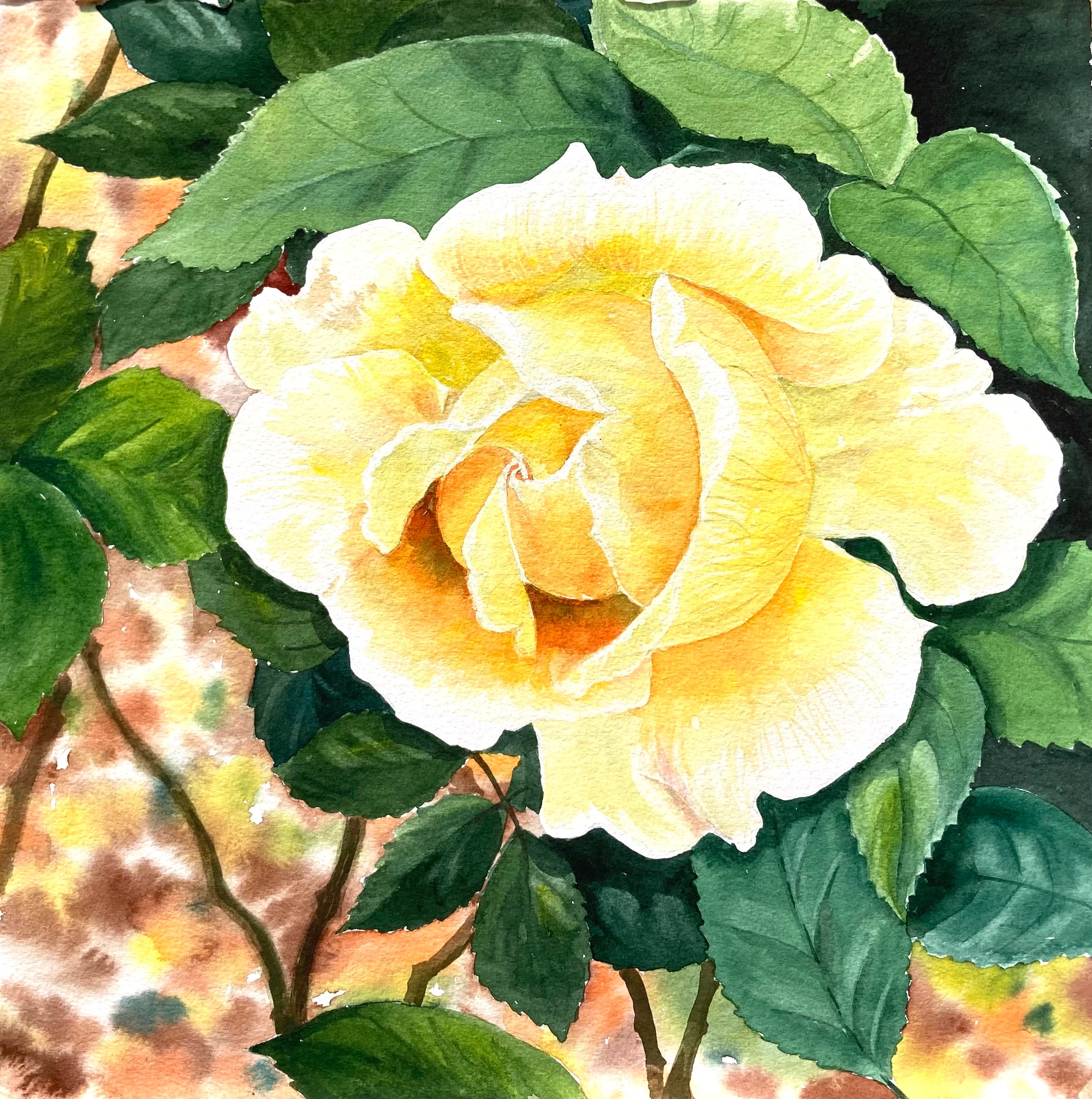 YELLOW ROSE