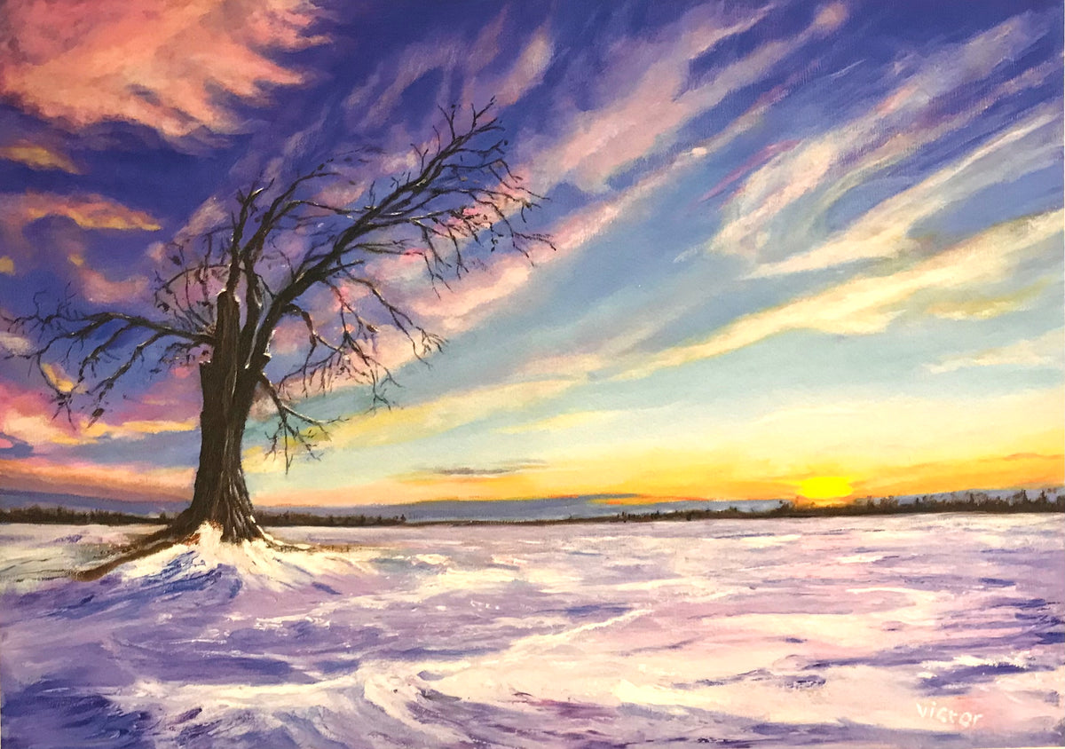 Snowy Fields