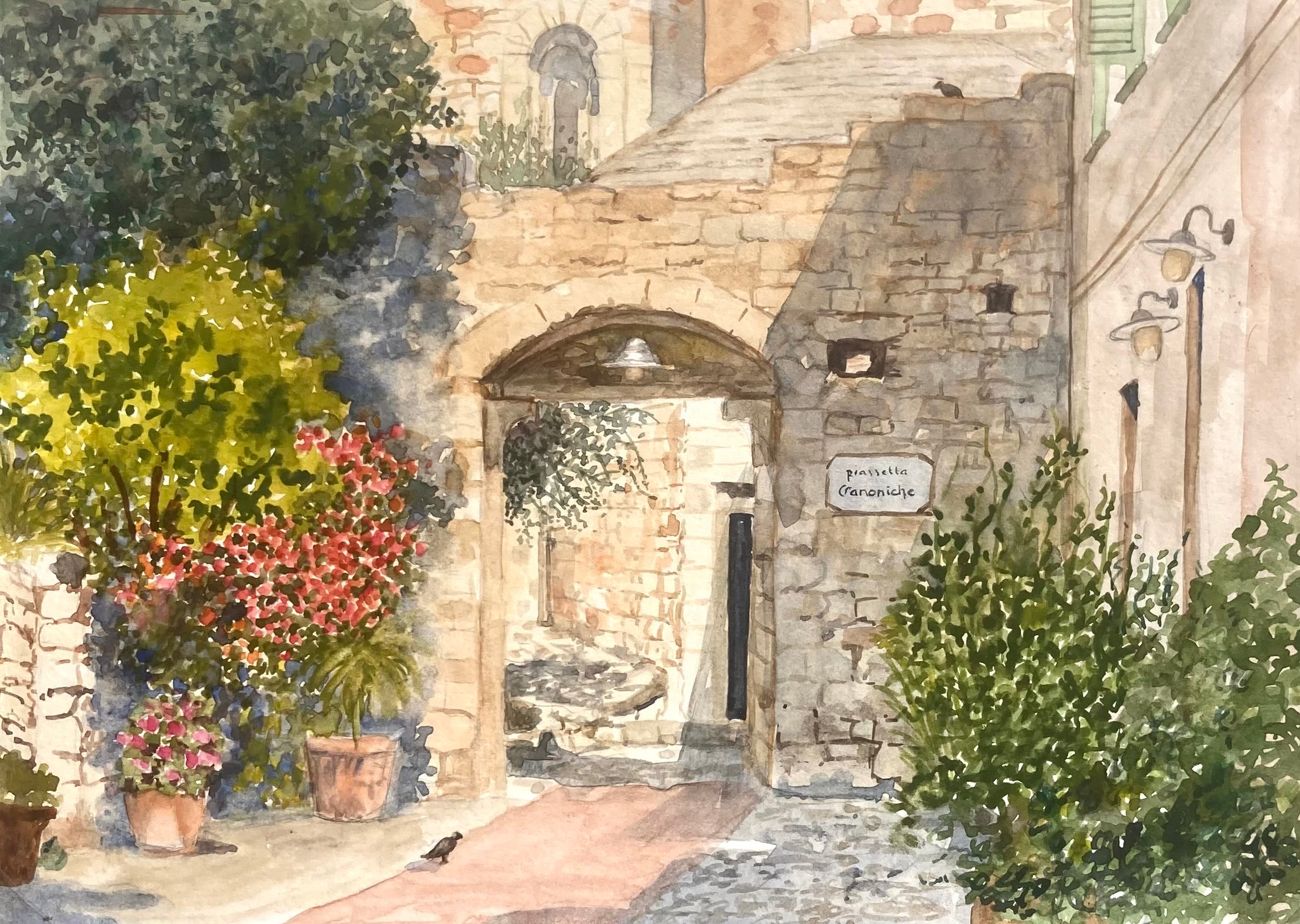 A SHADY SPOT