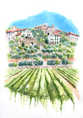 BASIL FIELDS IN LIGURIA