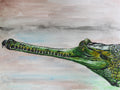 Gharial ballpoint pen drawing