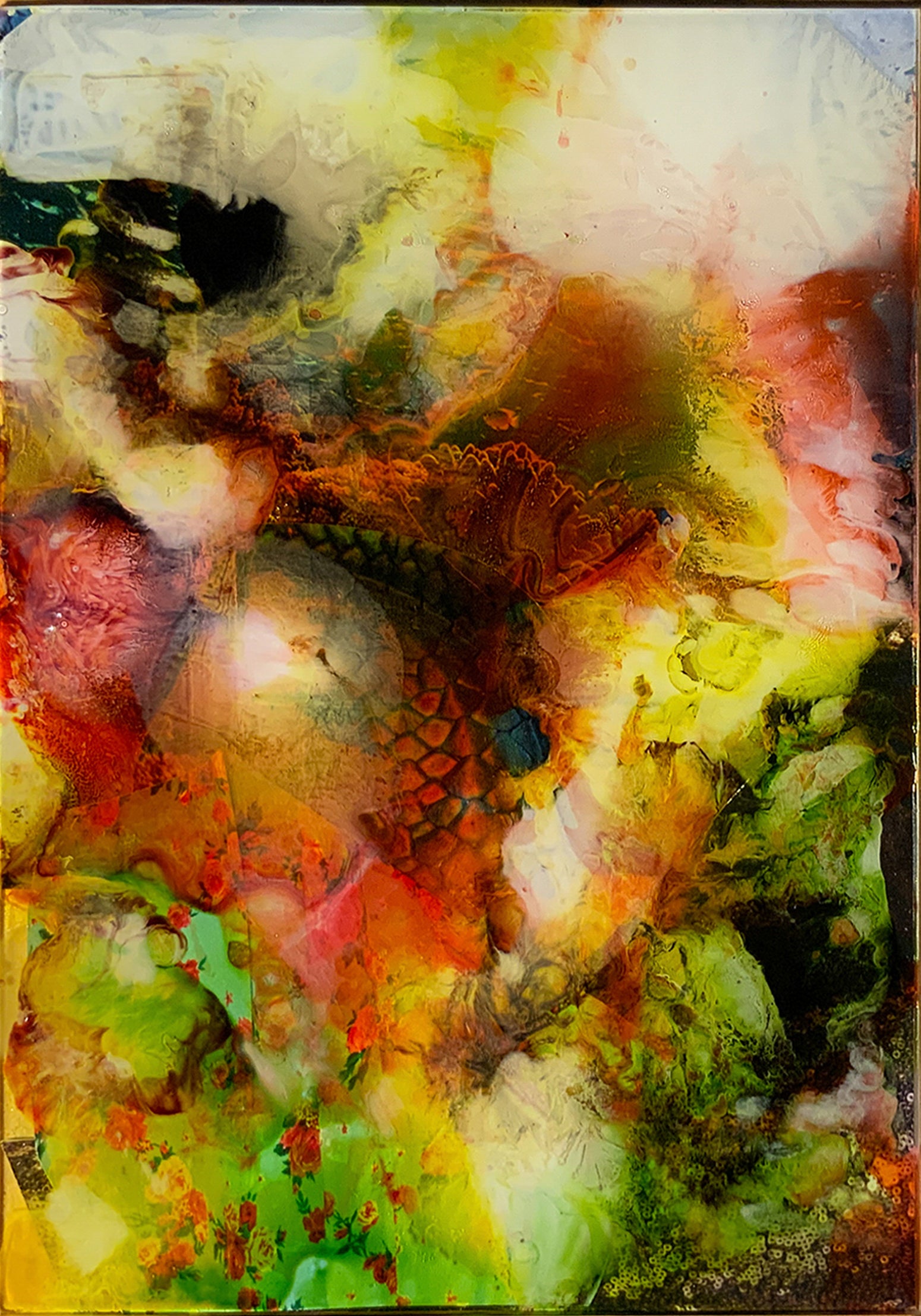 Sleep Series - Coral