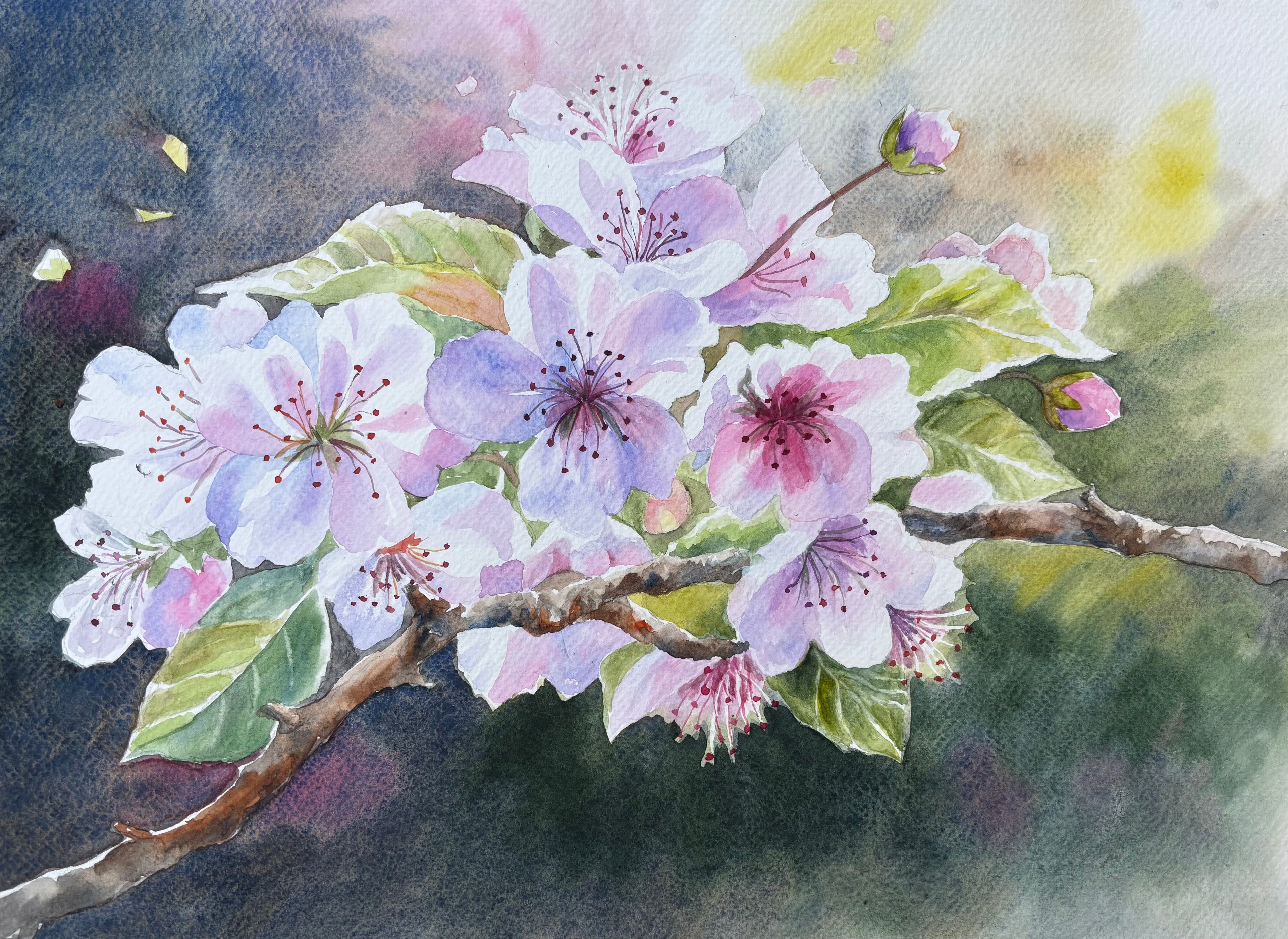 Spring Blossom