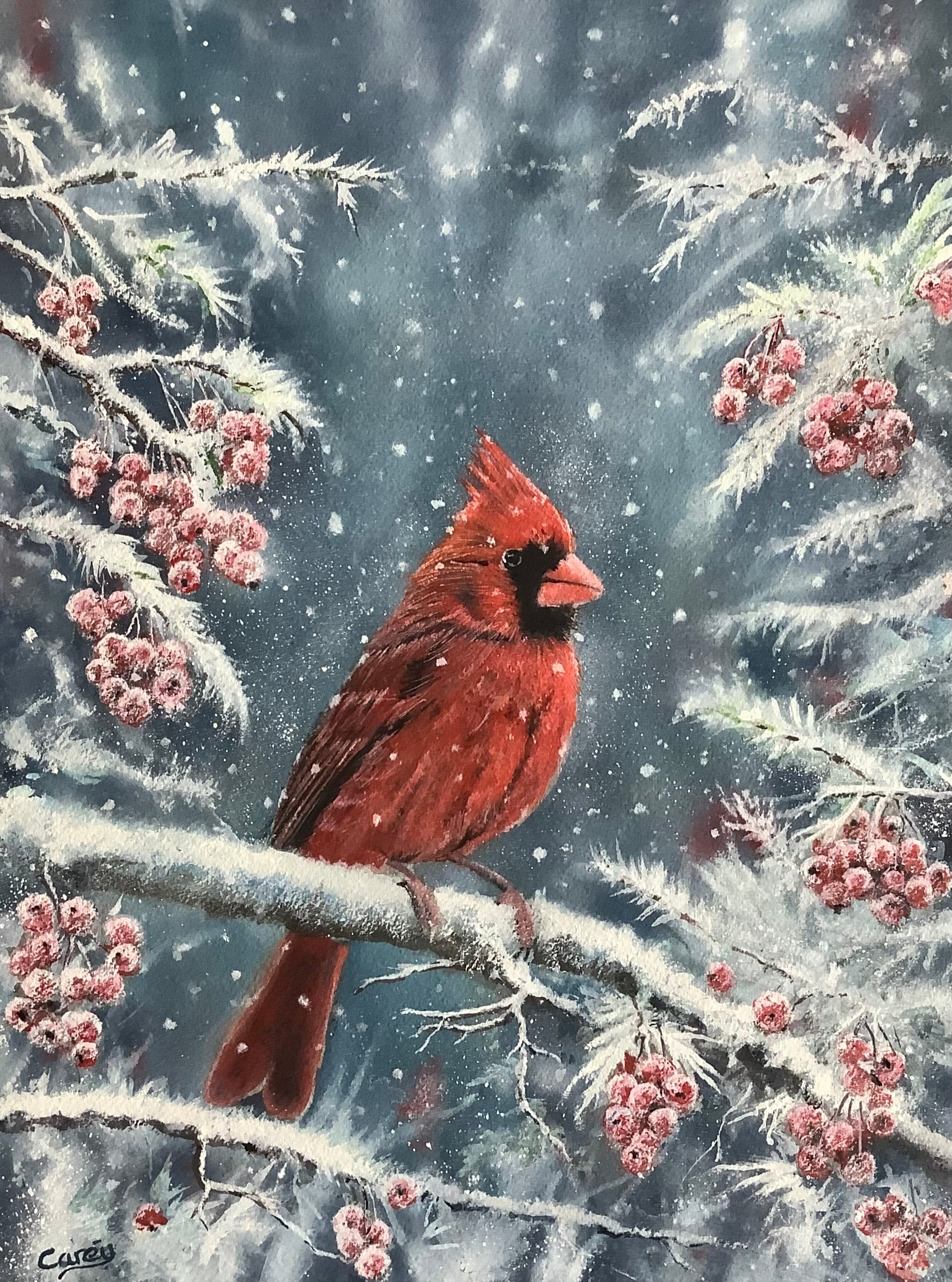 Red Cardinal in winter scene