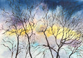 WINTER TREES