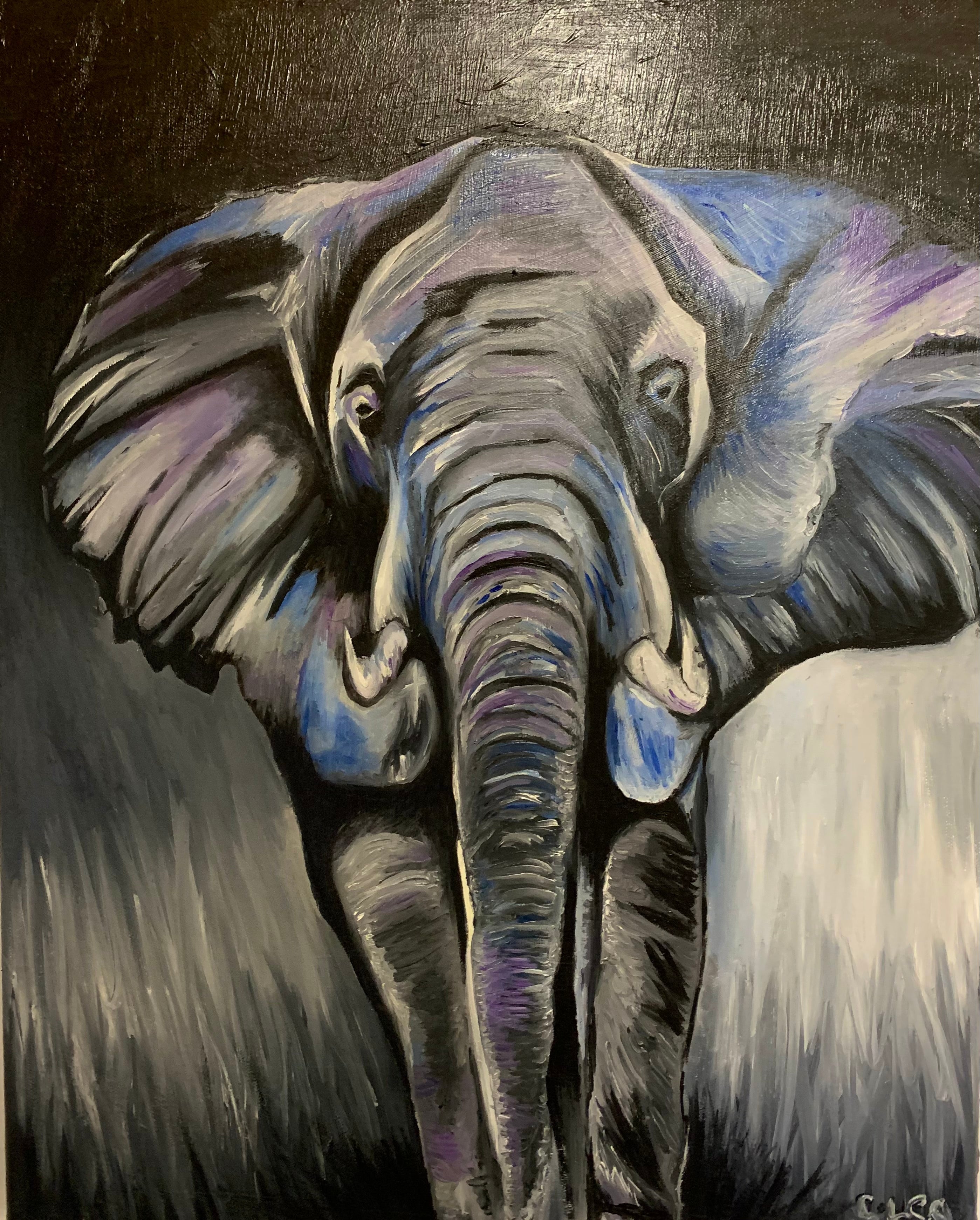 Gentle Giant The Elephant