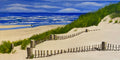 WALK ON THE CAPE