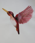 Bird in flight