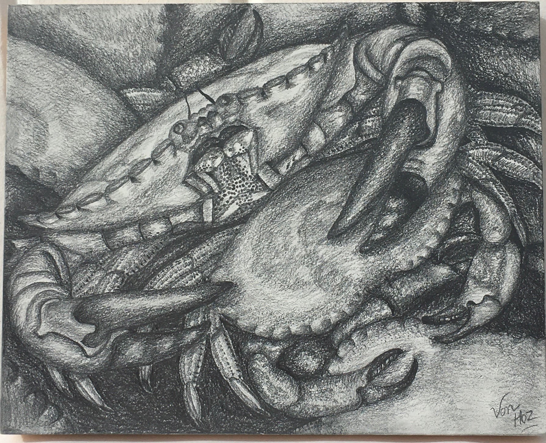 Crabs