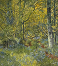 Bluebell Wood