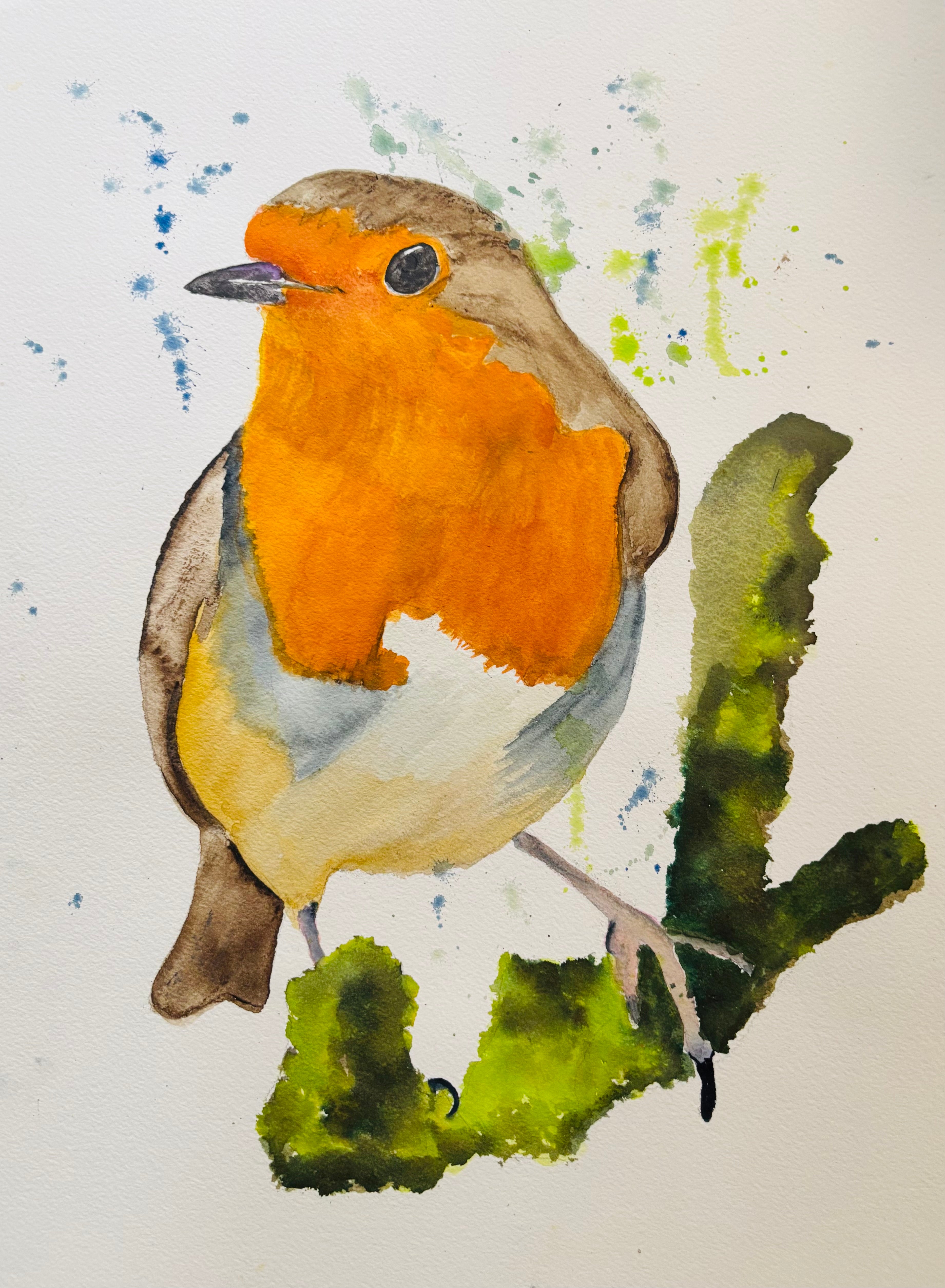 Cheery Robin Red Breast
