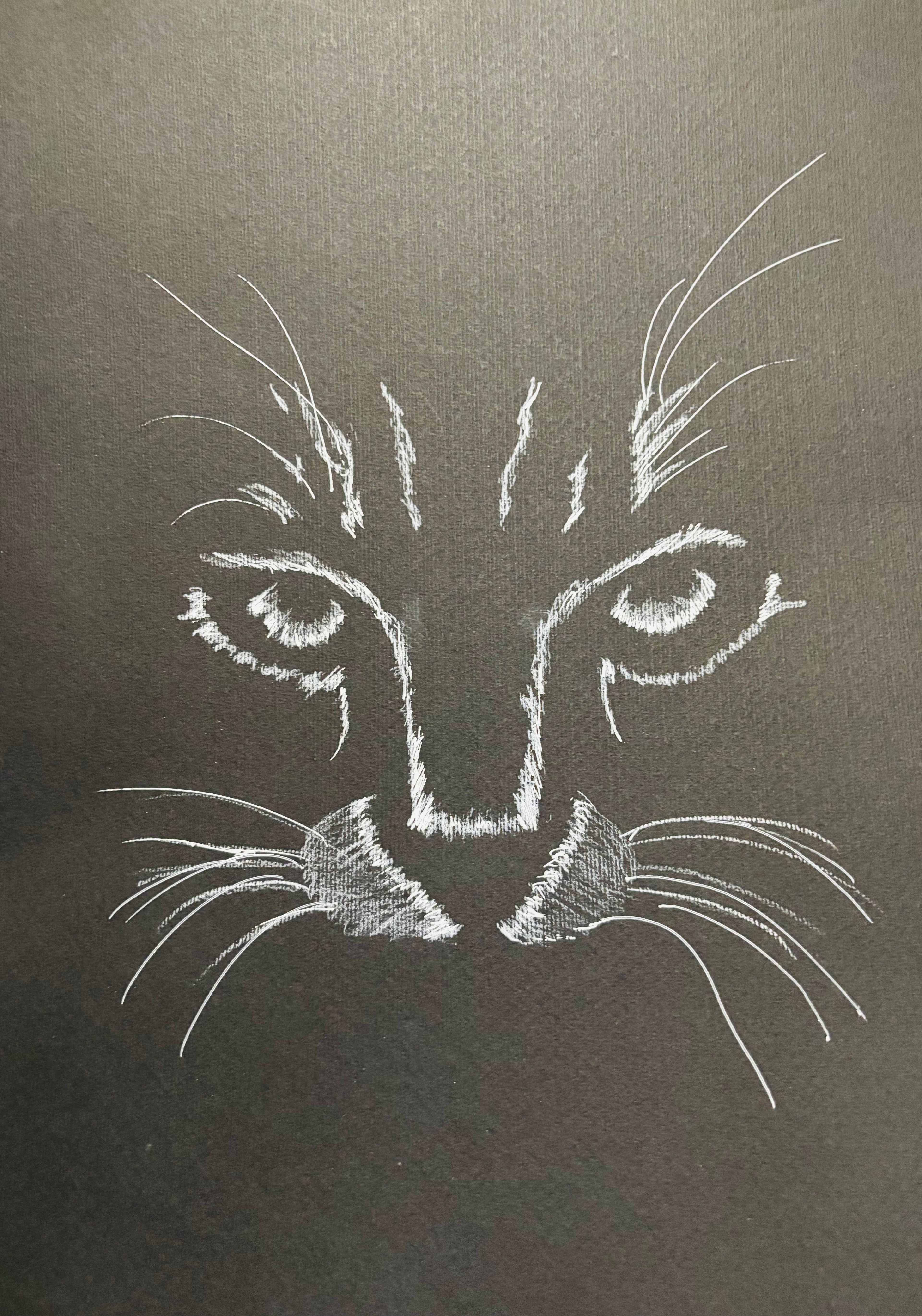 Abstract Kitty Cat Portrait