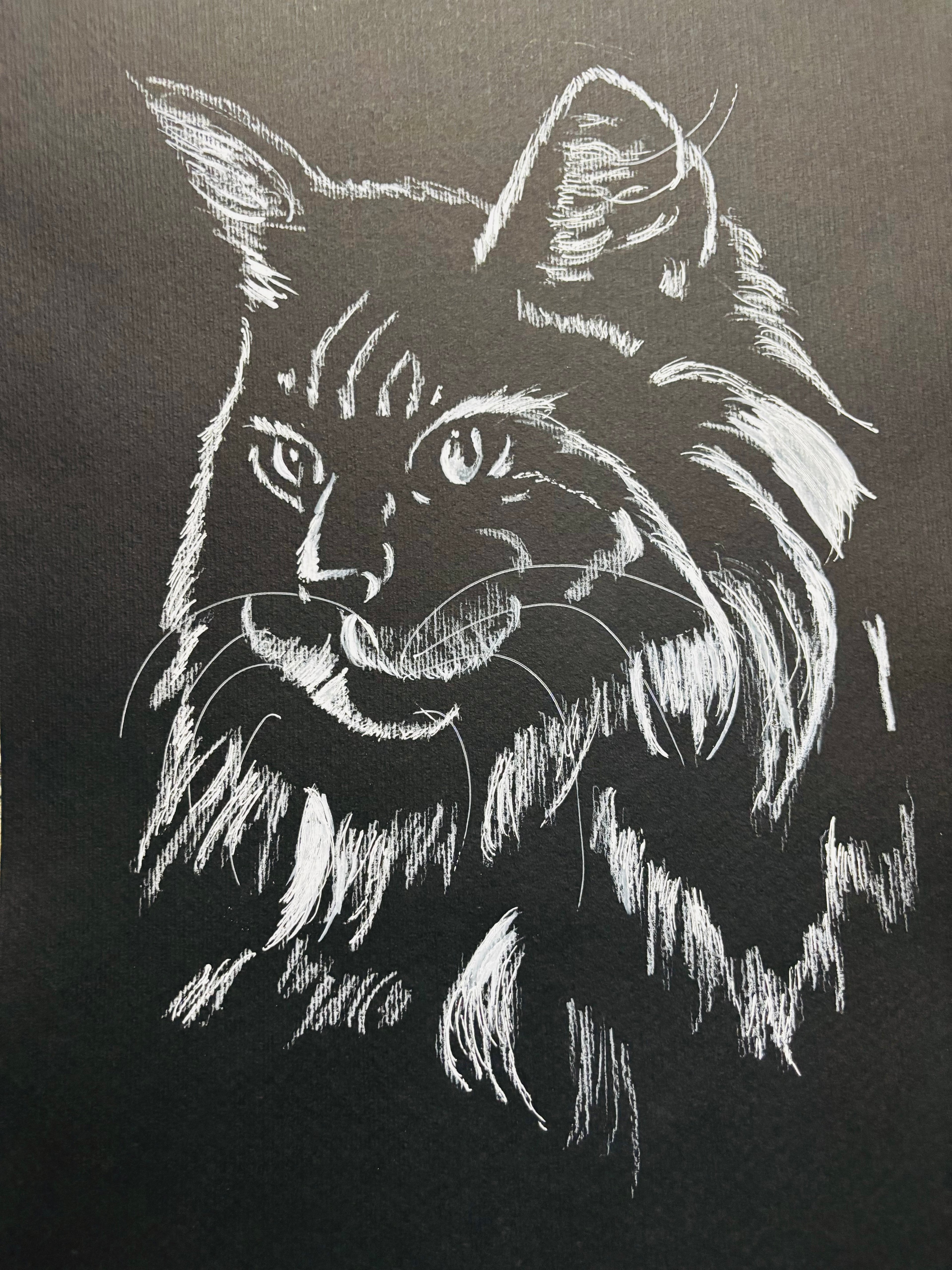 Abstract Cat Portrait