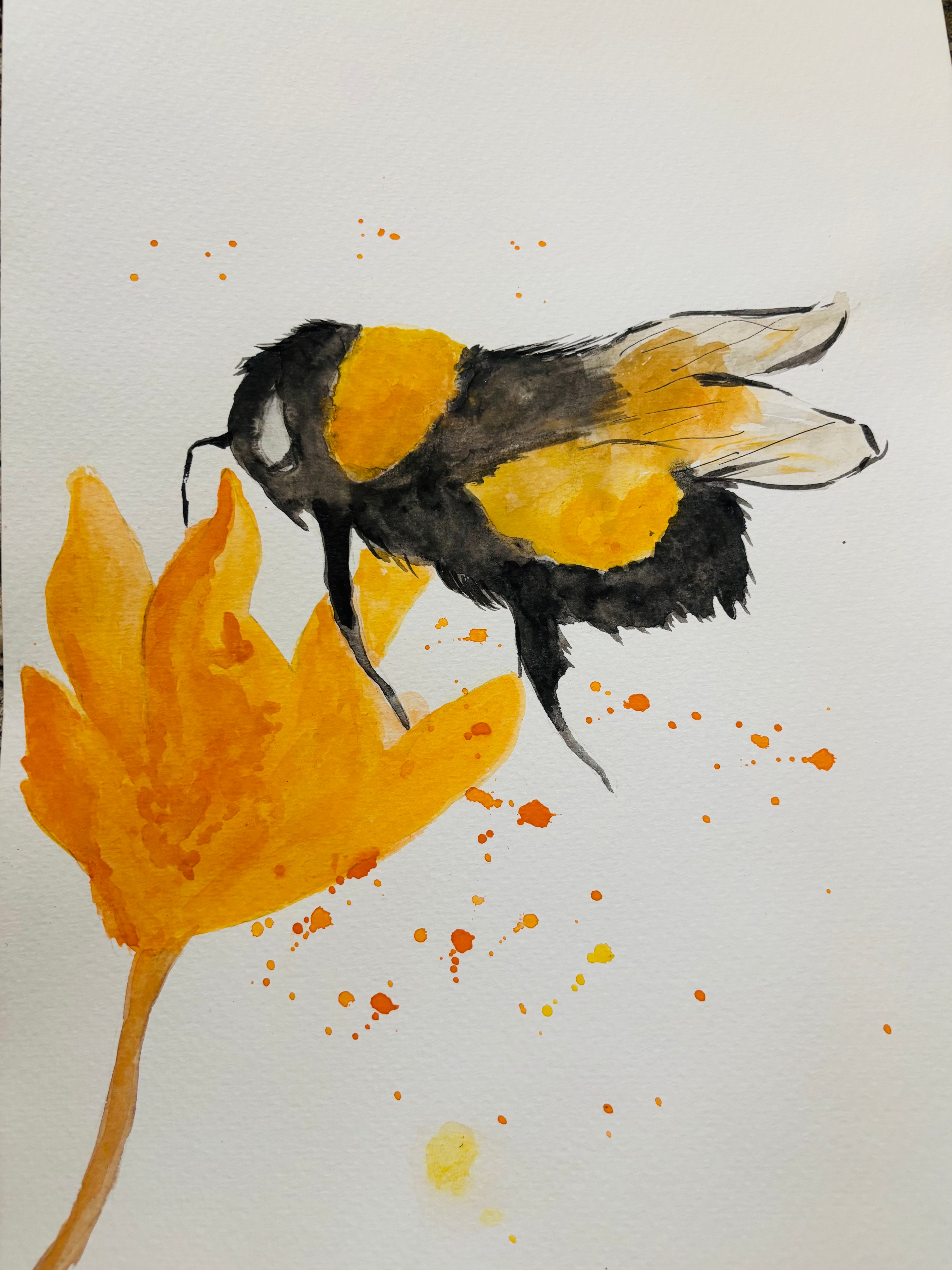 Bumble Bee On Orange Flower