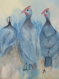 Guinea Fowl