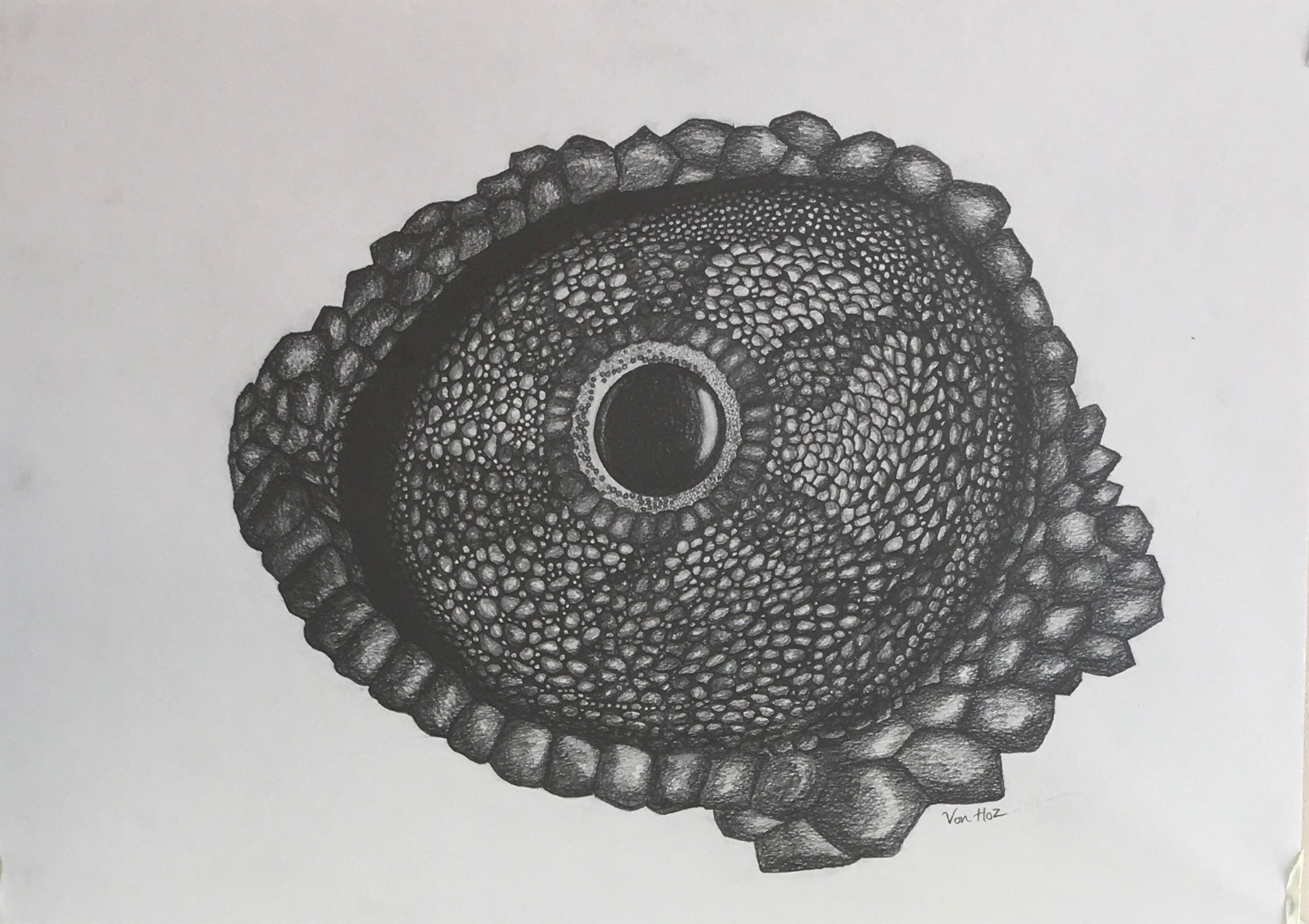Chameleon Eye