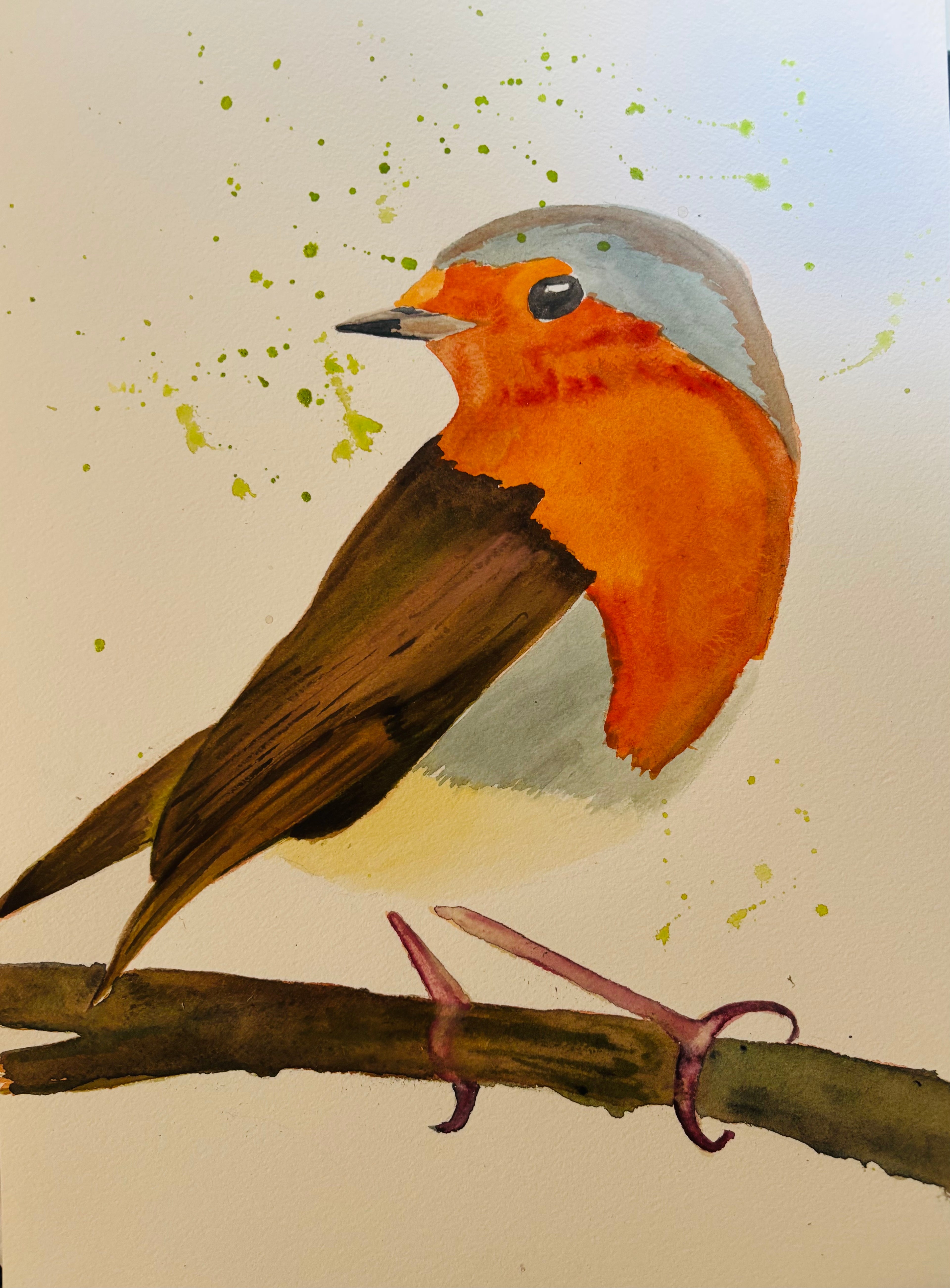 Robin Red Breast