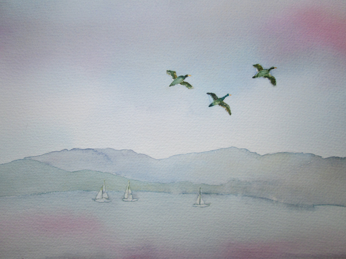 Across The Solent