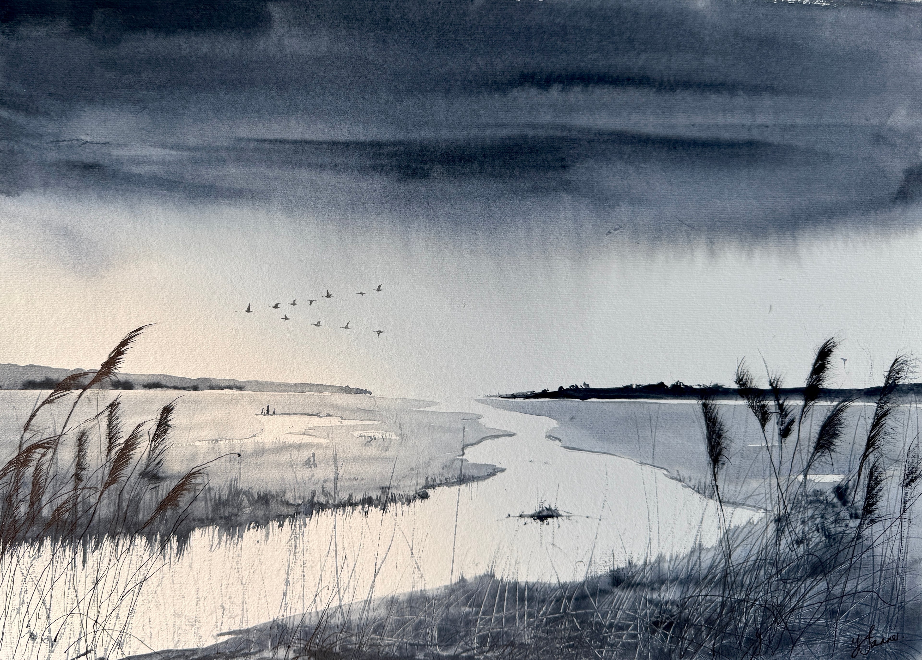 Monochrome marshes, rainclouds & geese