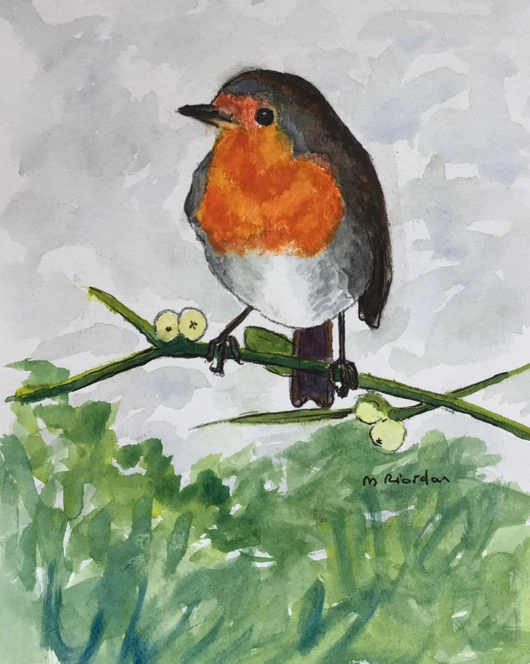 Robin