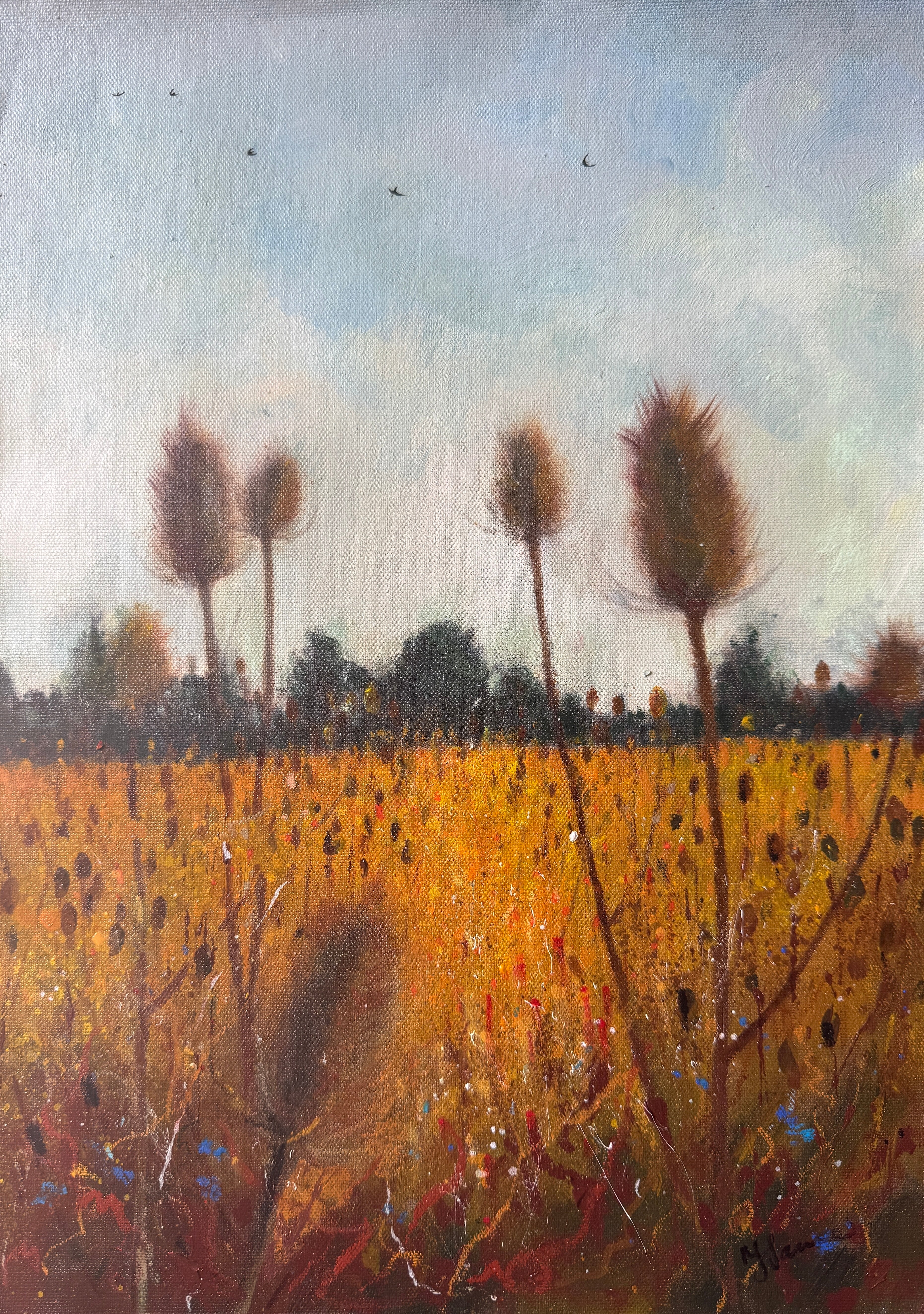 Teasel Field Swallows Leaving