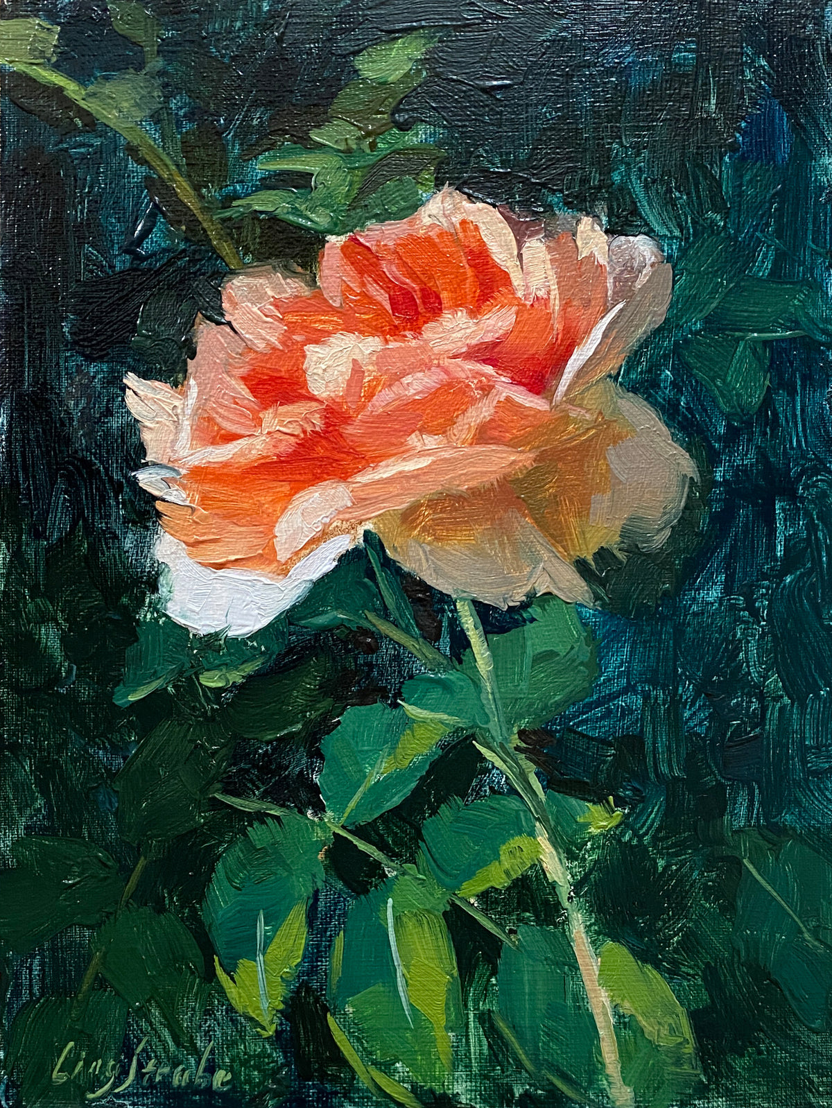 Rose Beauty #5