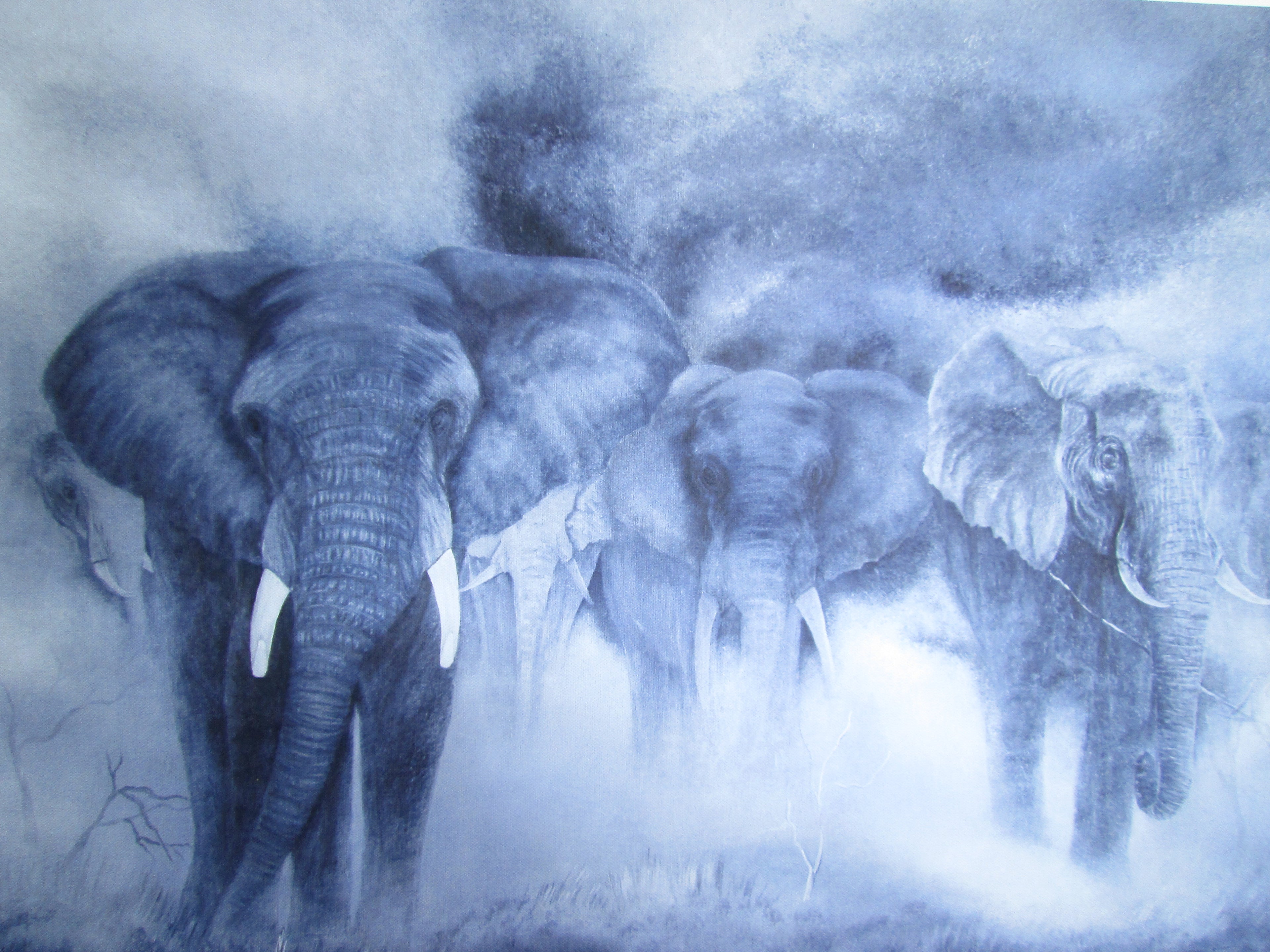 Early Morning Elephant  Herd LIMITED  PRINTS