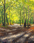 Forest Light