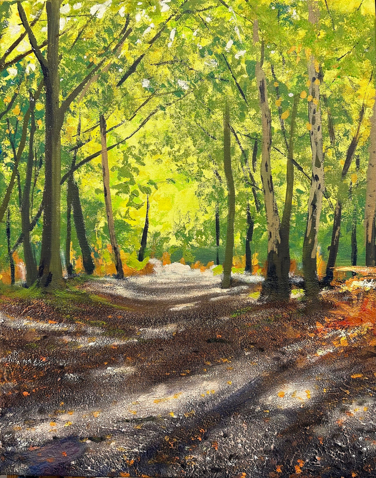 Forest Light