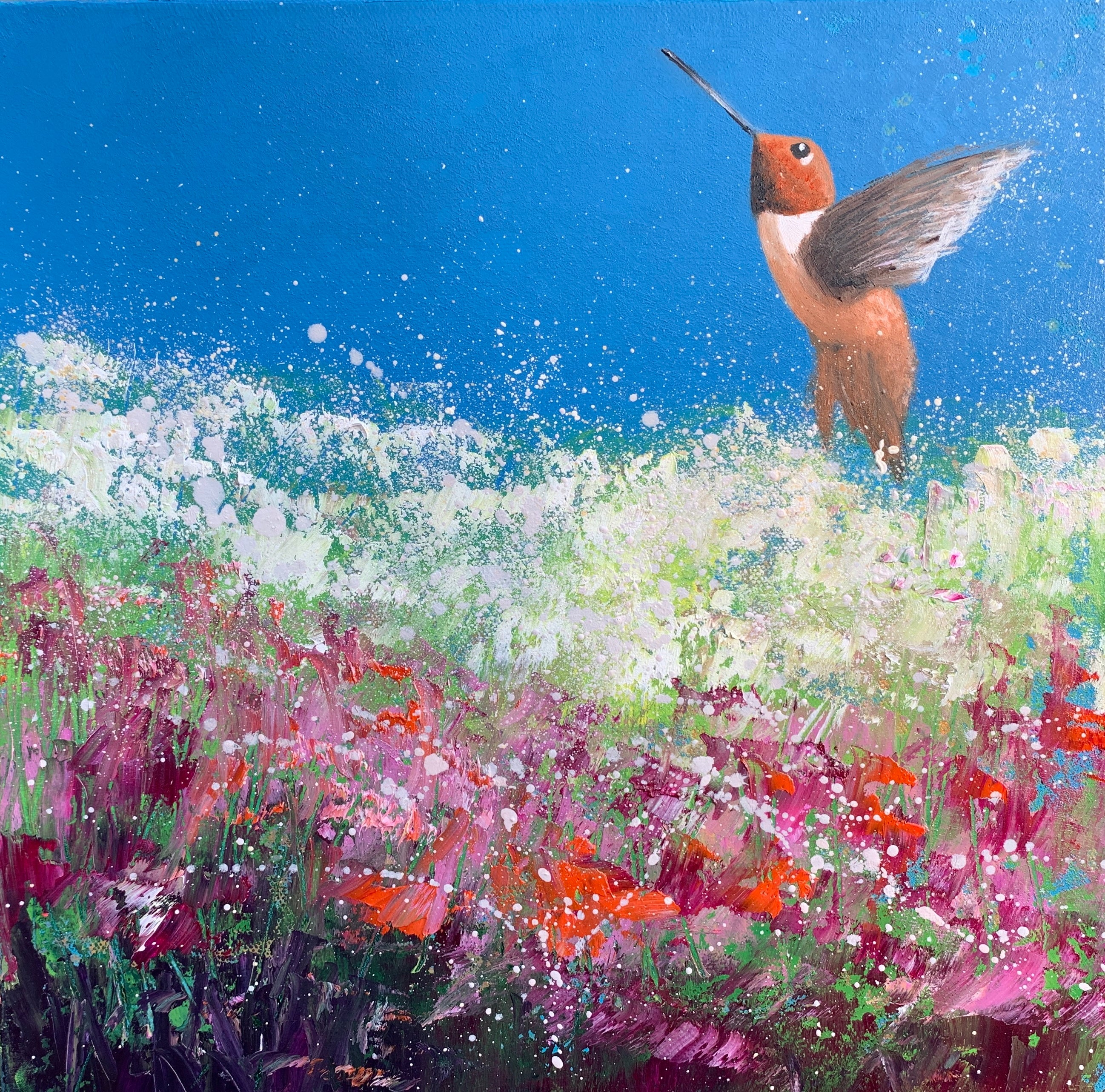 Rufous Hummingbird