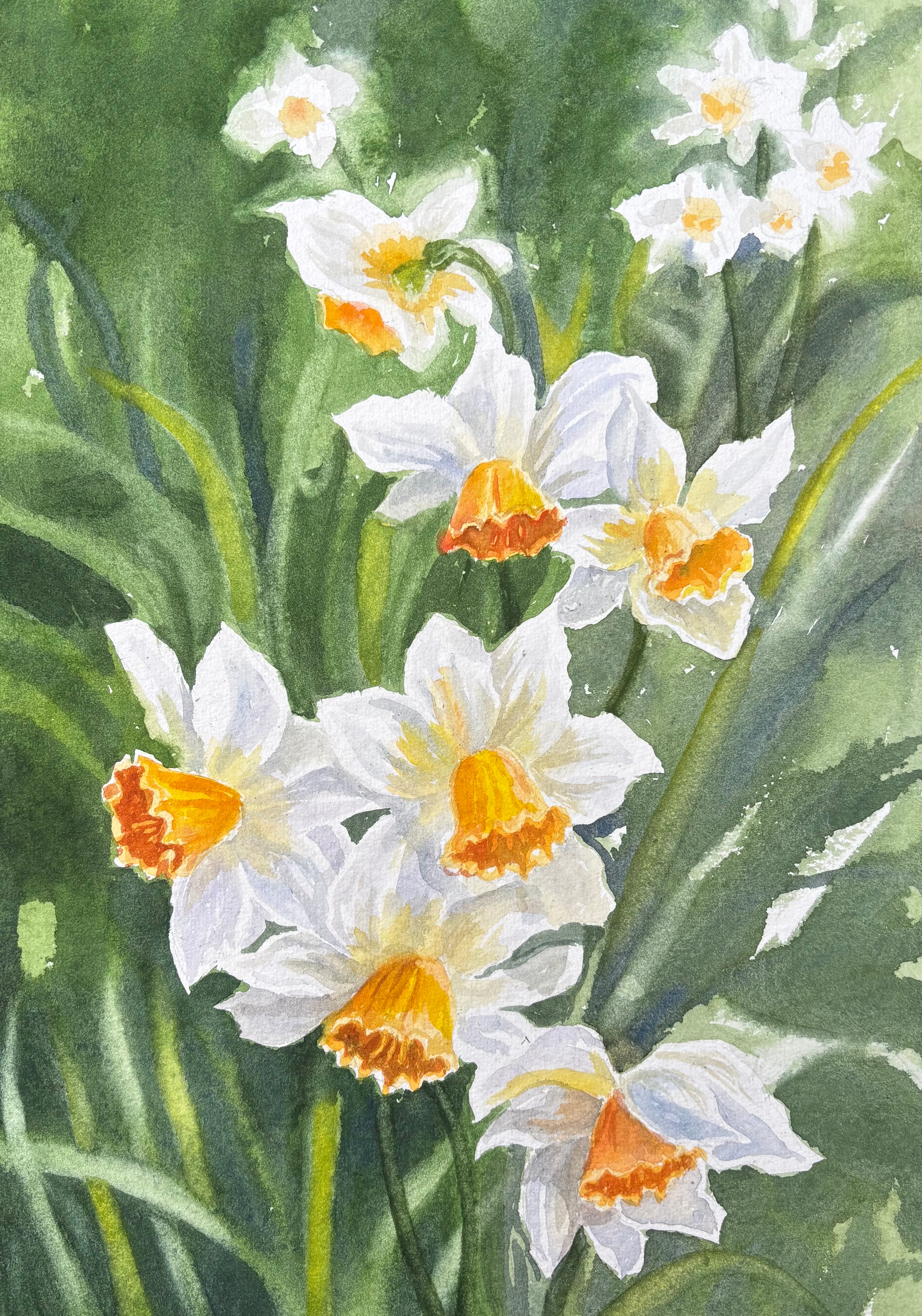 DAFFODILS
